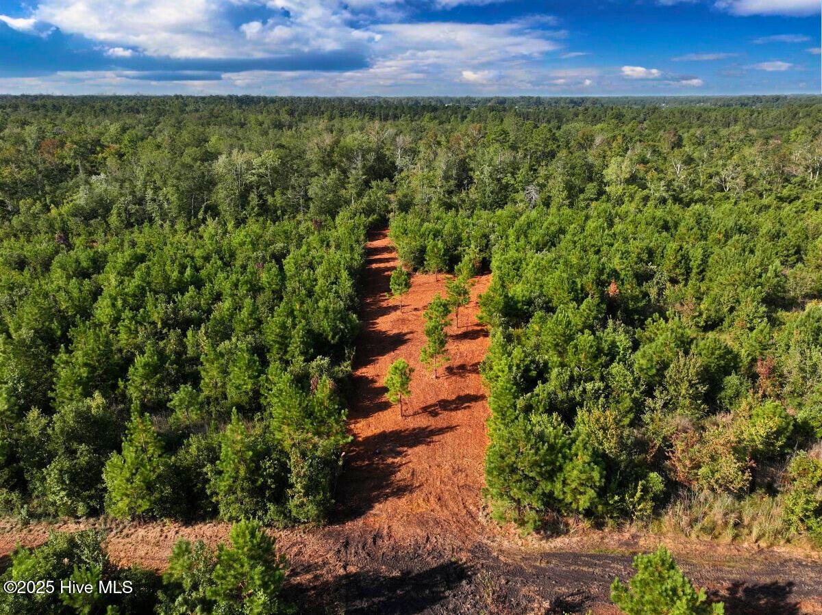 0 Institute Road Kinston, NC 28504 - Photo 17 of 41 17