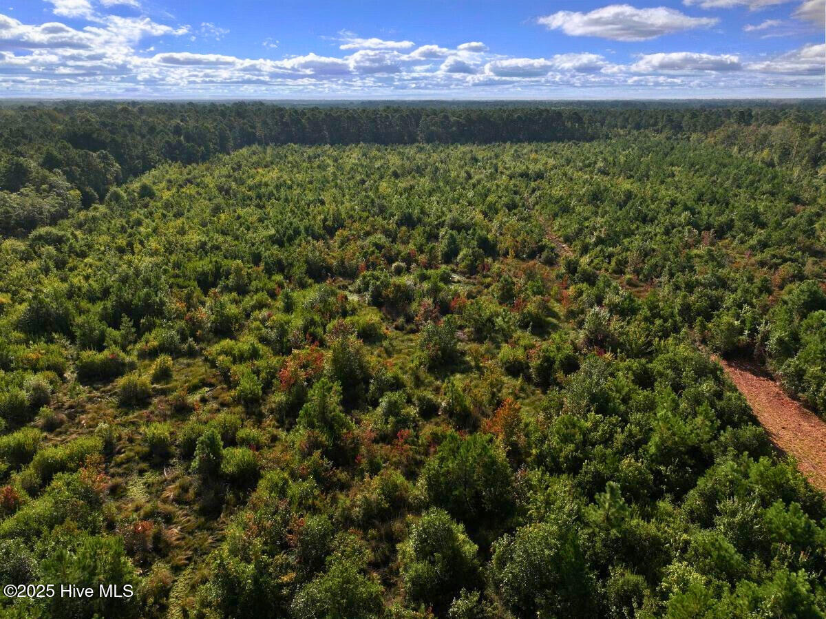 0 Institute Road Kinston, NC 28504 - Photo 19 of 41 19