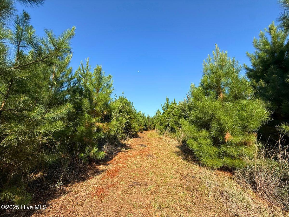 0 Institute Road Kinston, NC 28504 - Photo 20 of 41 21