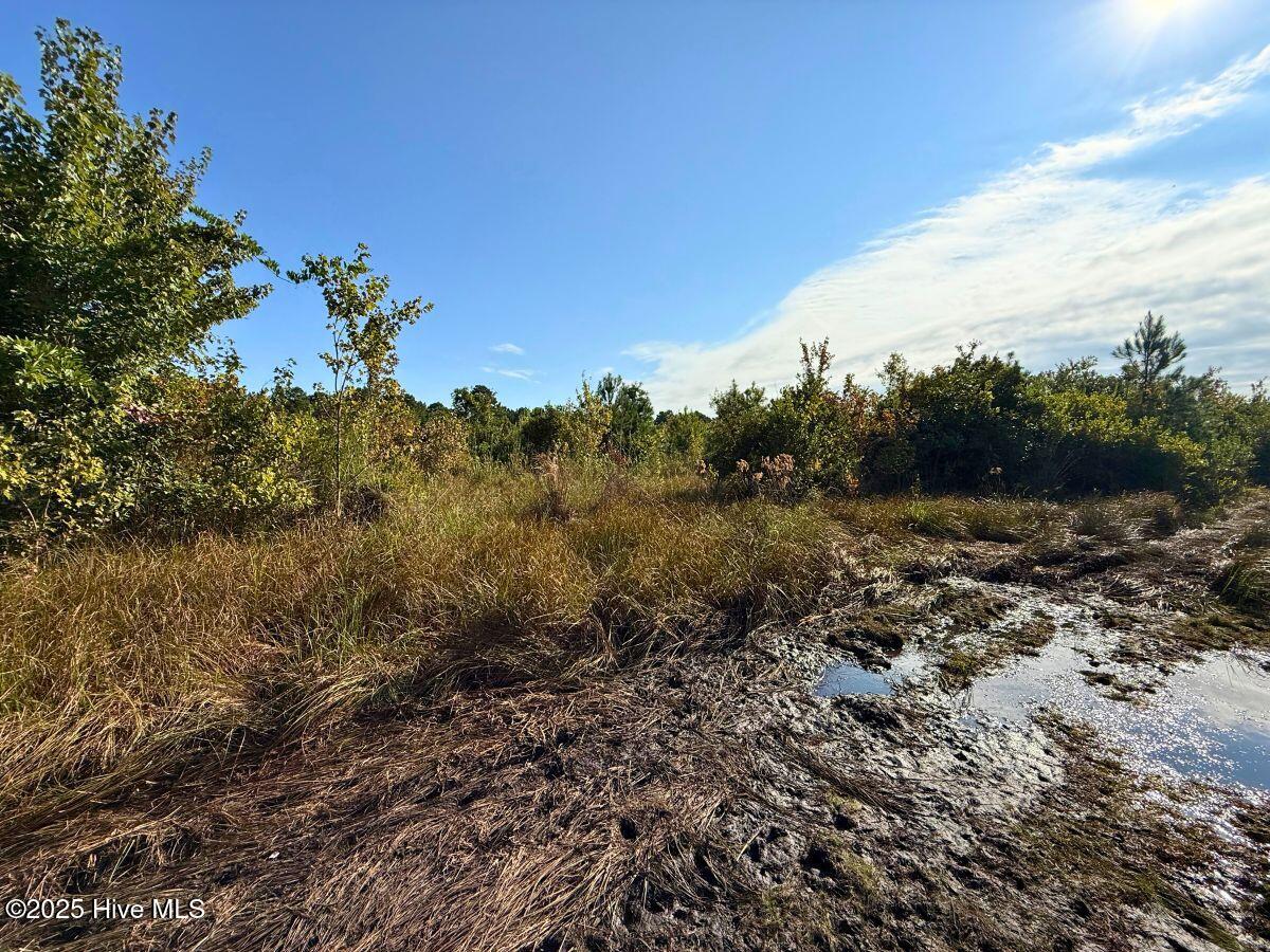 0 Institute Road Kinston, NC 28504 - Photo 22 of 41 23