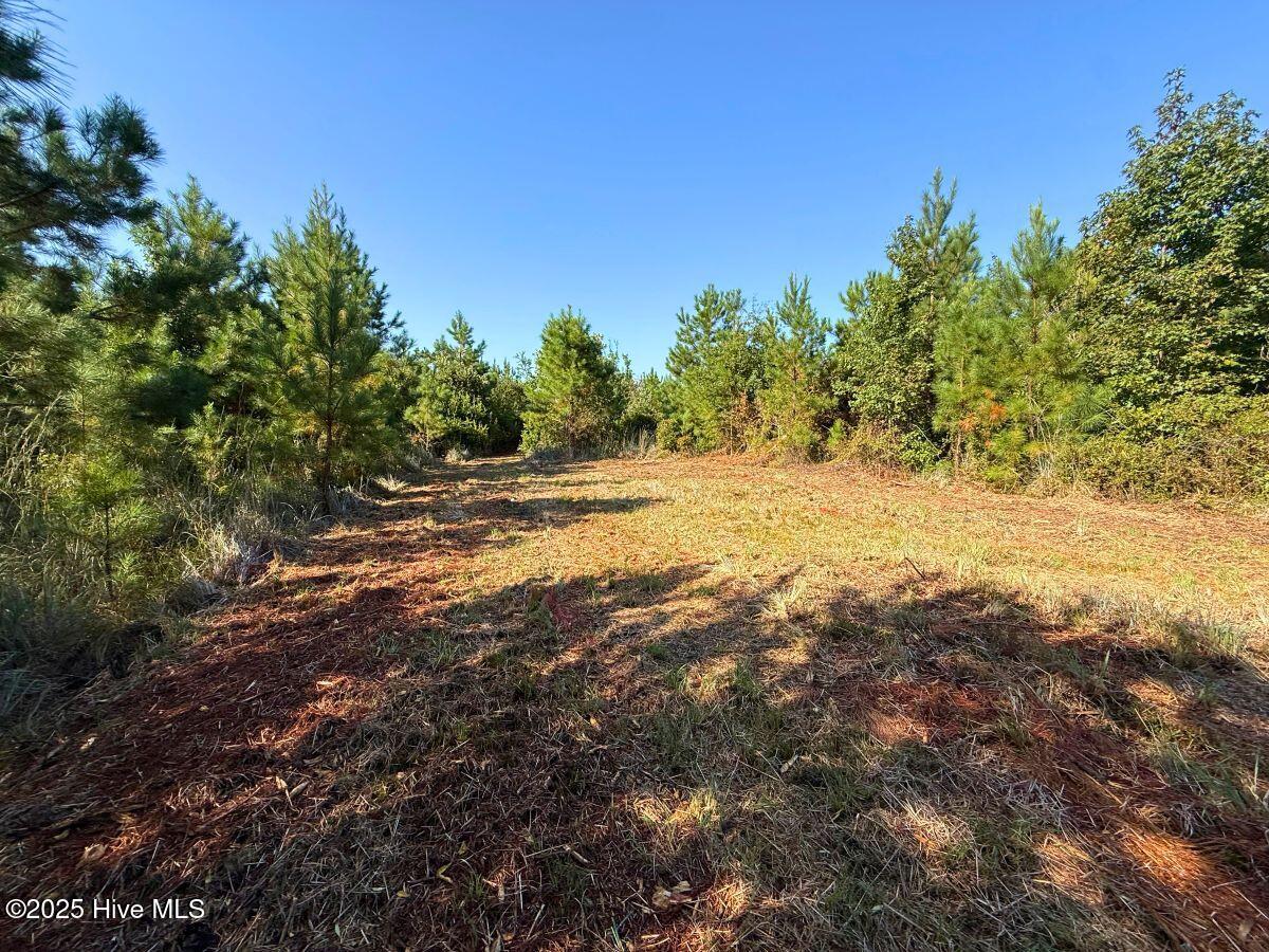 0 Institute Road Kinston, NC 28504 - Photo 29 of 41 31