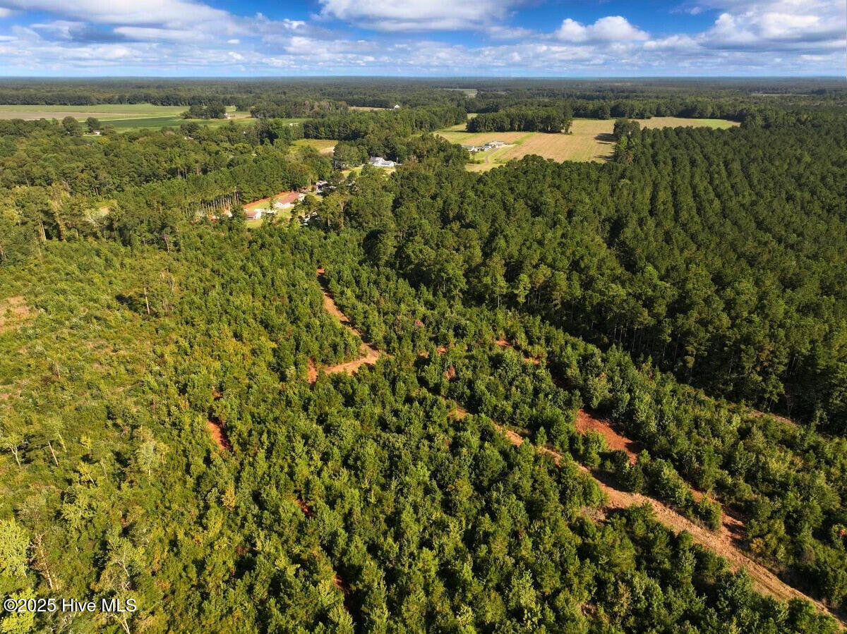 0 Institute Road Kinston, NC 28504 - Photo 3 of 41 3