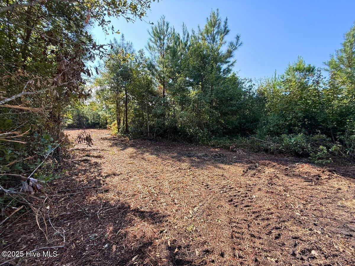 0 Institute Road Kinston, NC 28504 - Photo 35 of 41 37