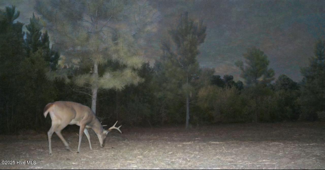 0 Institute Road Kinston, NC 28504 - Photo 38 of 41 IMG_5945