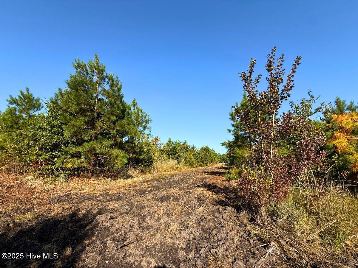 0 Institute Road Kinston, NC 28504 - Photo 7 of 41 7