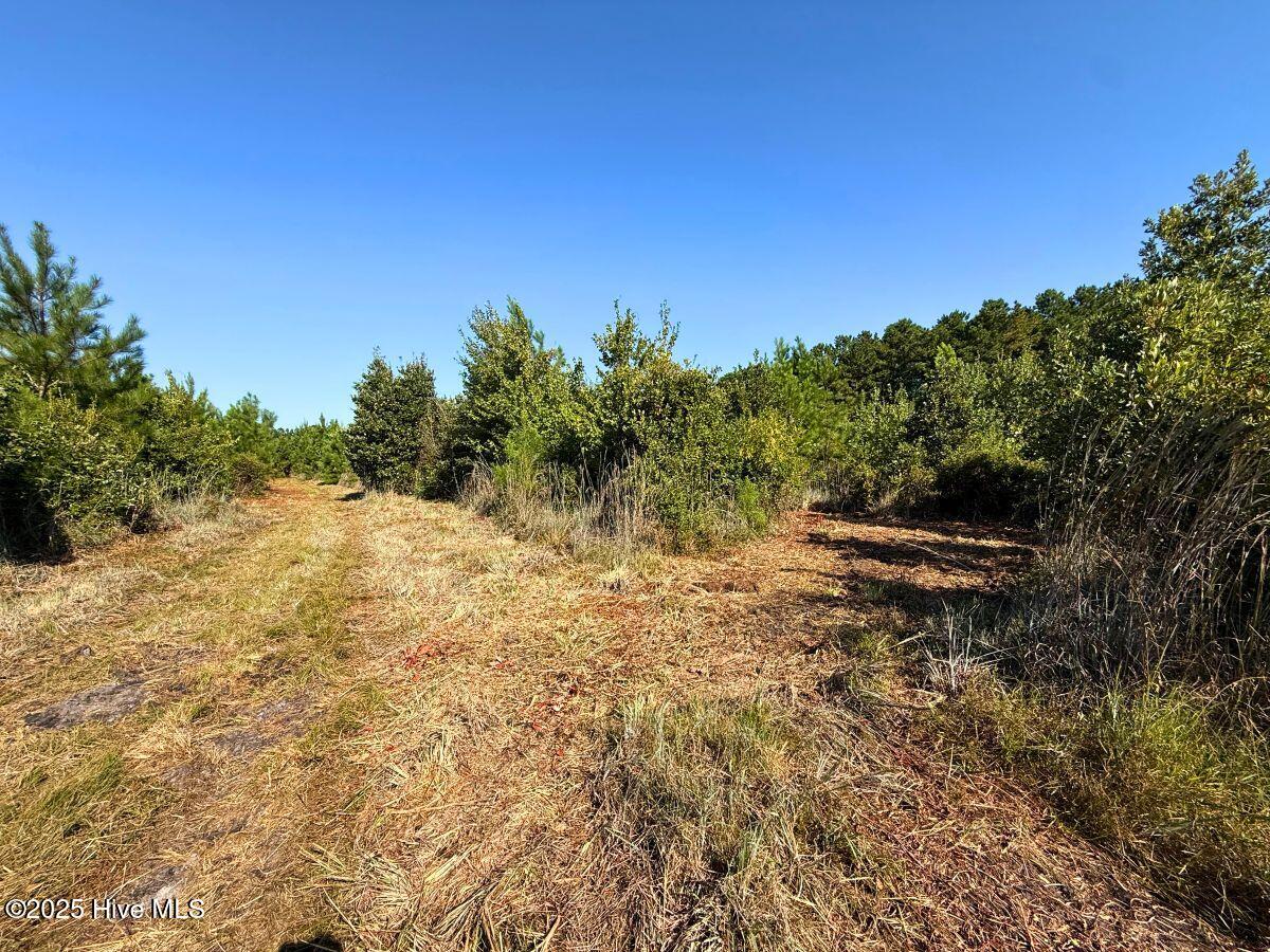 0 Institute Road Kinston, NC 28504 - Photo 8 of 41 8