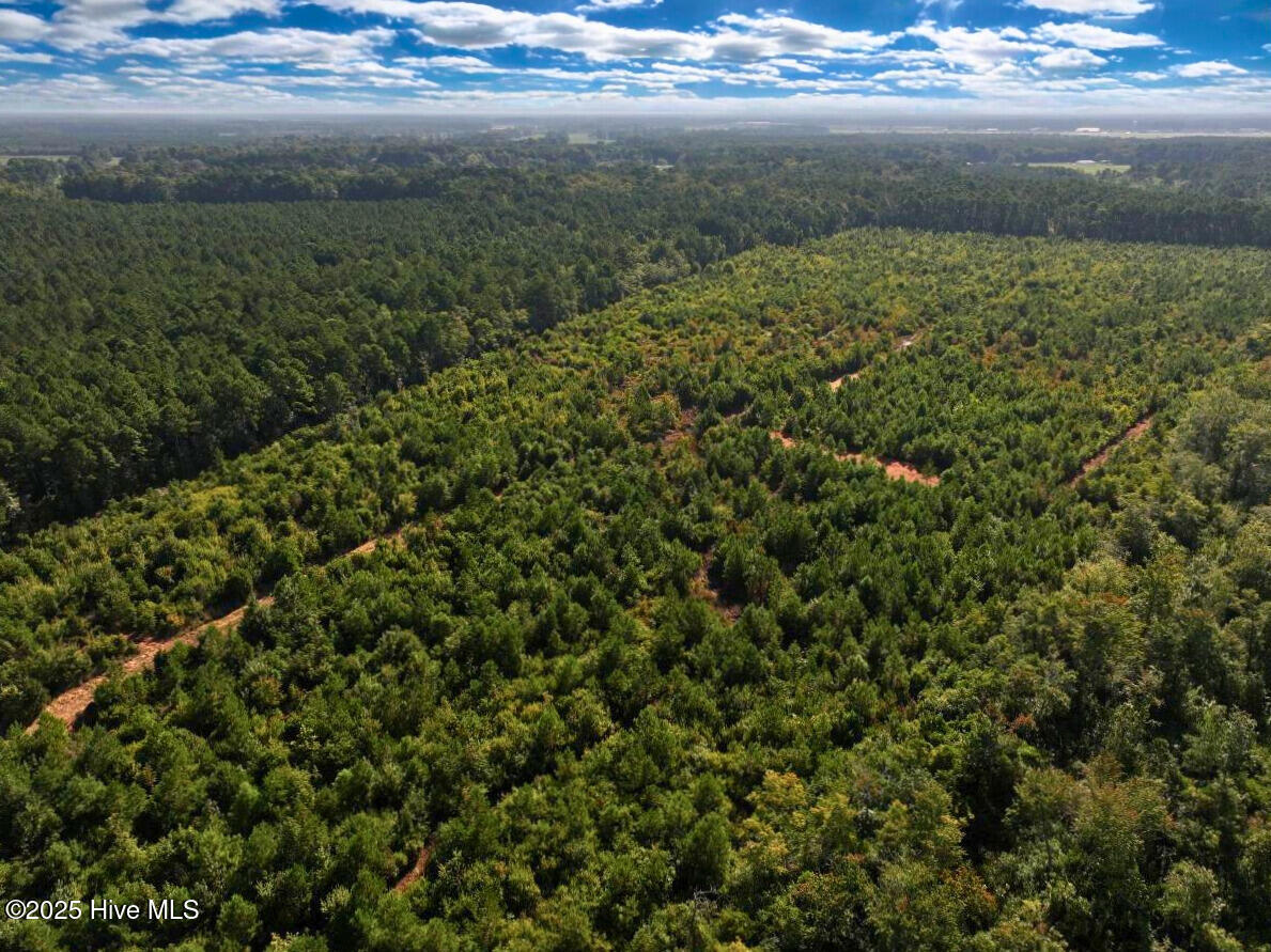 0 Institute Road Kinston, NC 28504 - Photo 9 of 41 9