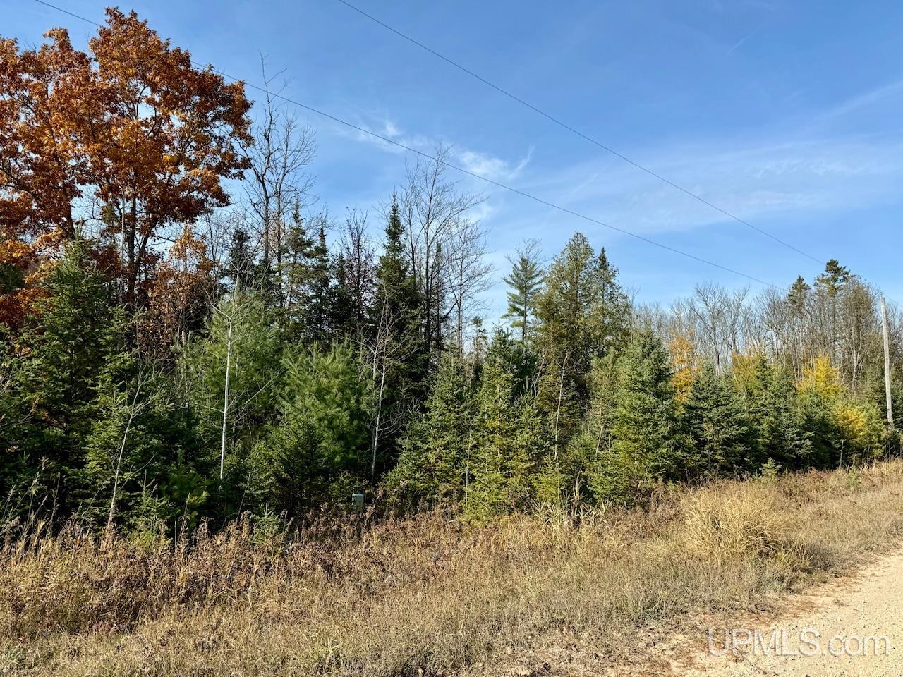 40 Gustafson Road Vulcan, MI 49892 - Photo 23 of 39