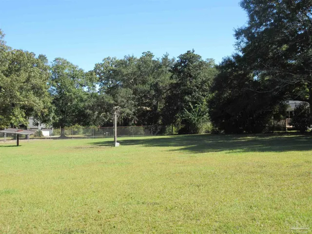 a view of a park with a tree