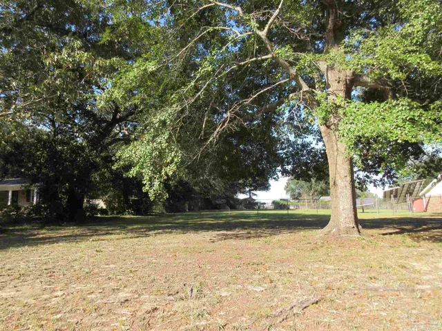 a view of a yard with trees