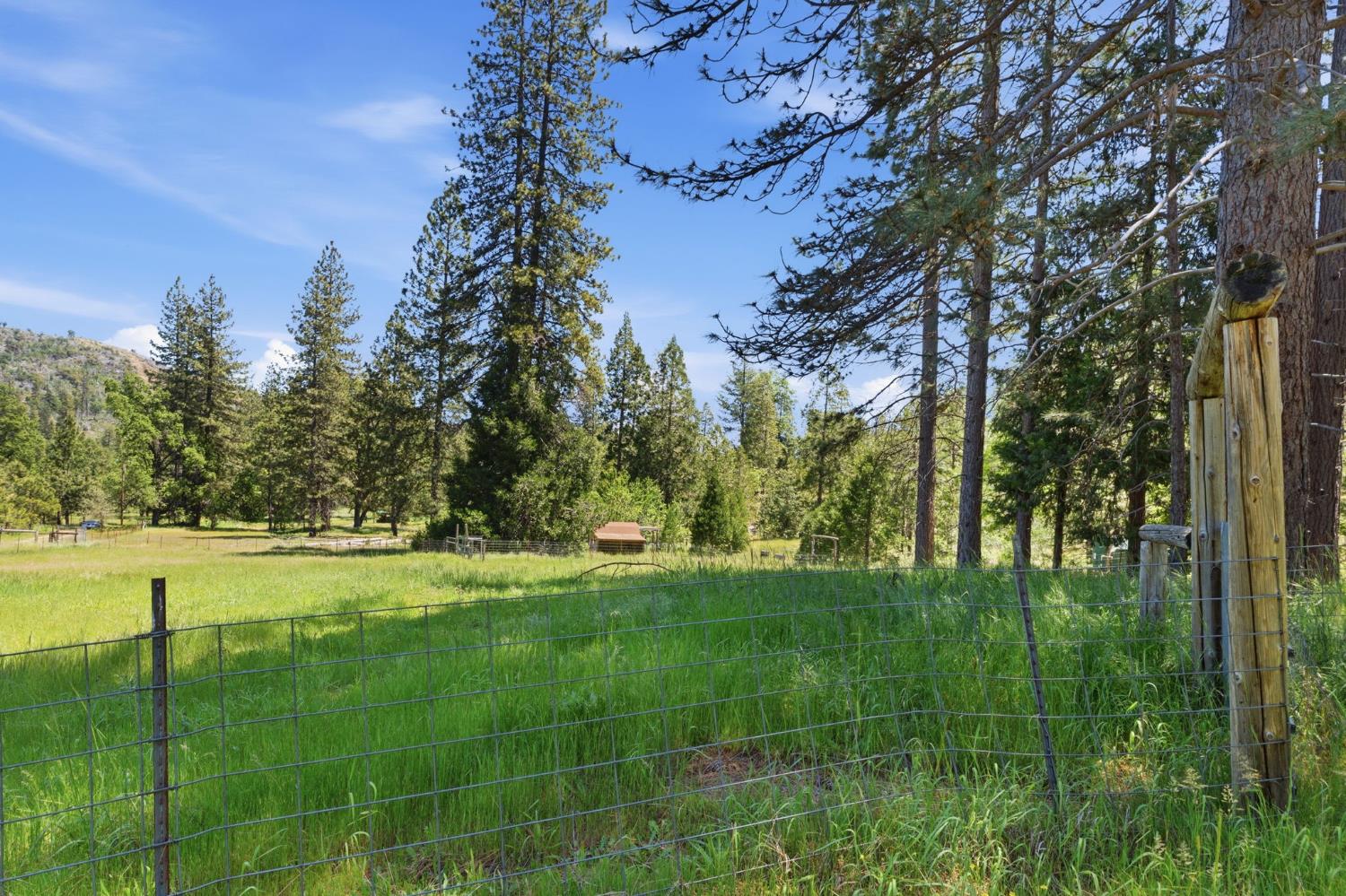 7019 Scott Road Mariposa, CA 95338 - Photo 61 of 77