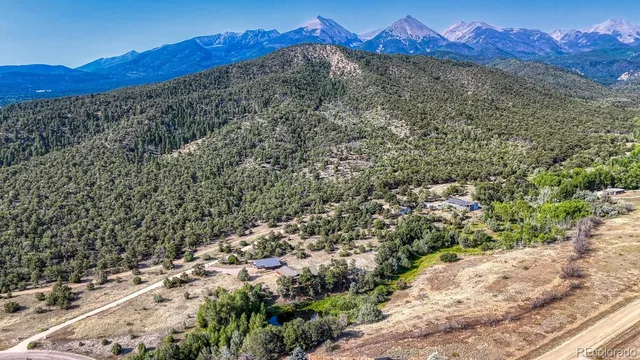 a view of a lush green forest with a building in the background