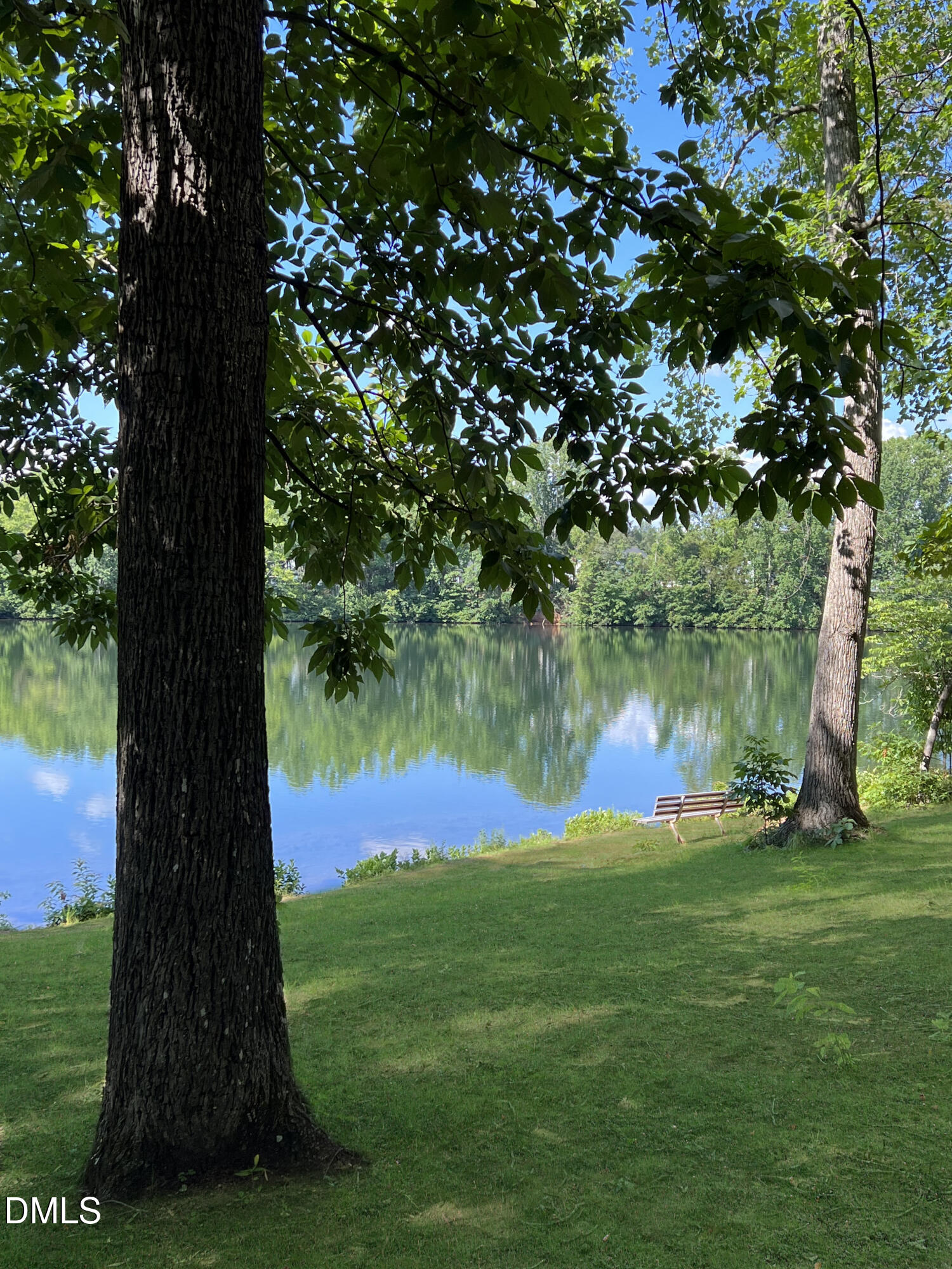 2015 Pollinator Place Mebane, NC 27302 - Photo 15 of 24 a view of a yard with a tree