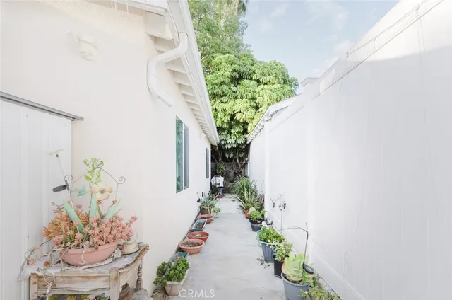 a potted plant sitting in front of a house