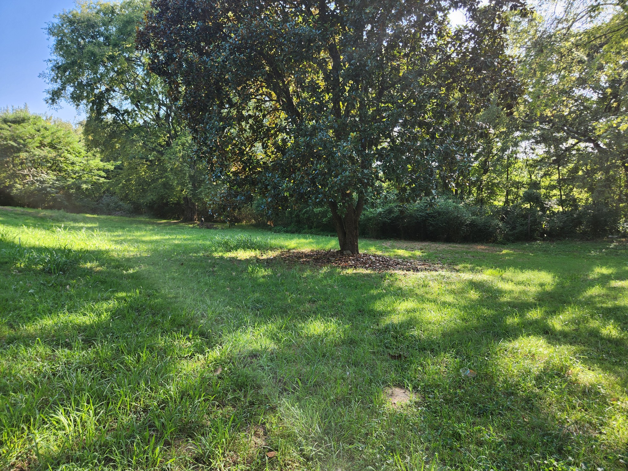 3262 Prospect Road Pulaski, TN 38478 - Photo 20 of 23 a view of outdoor space with deck and yard