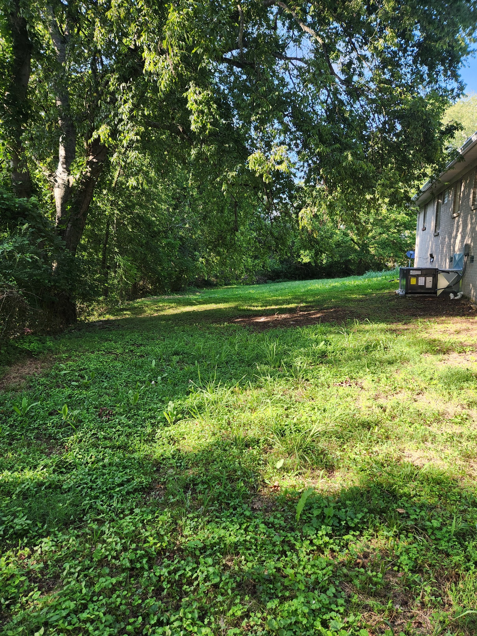 3262 Prospect Road Pulaski, TN 38478 - Photo 21 of 23 a view of backyard with green space