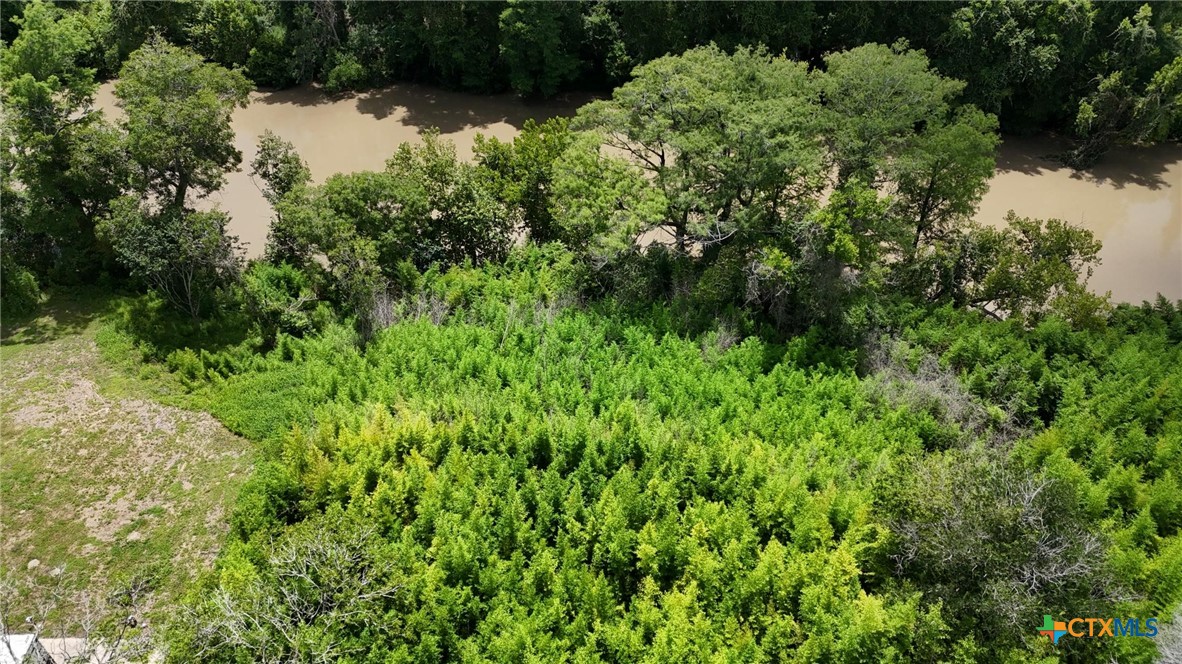 340 Cypress Valley Road Cuero, TX 77954 - Photo 13 of 23 a view of a garden with a tree