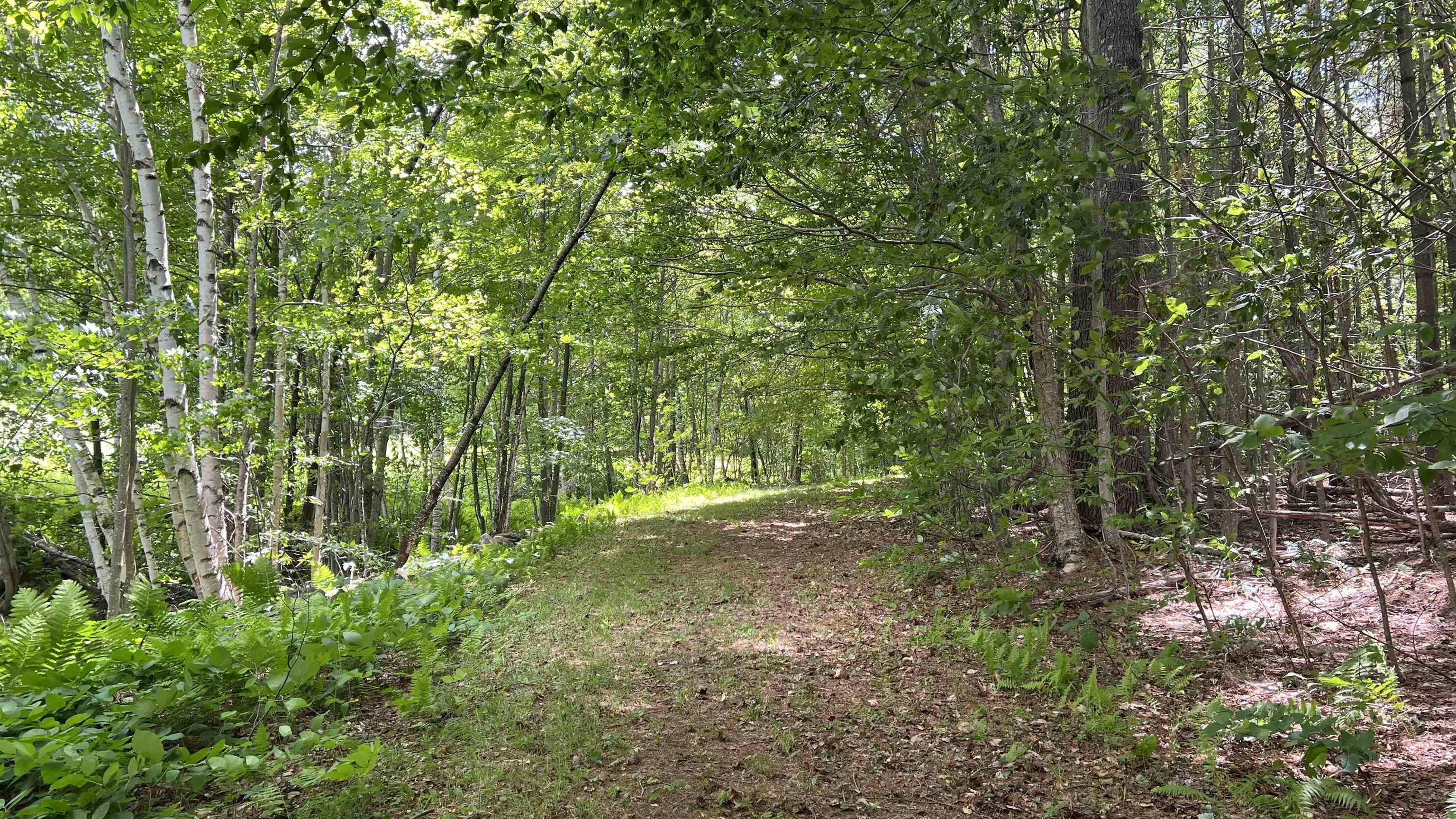 412 Hall Ranch Road Grafton, VT 05146 - Photo 45 of 48