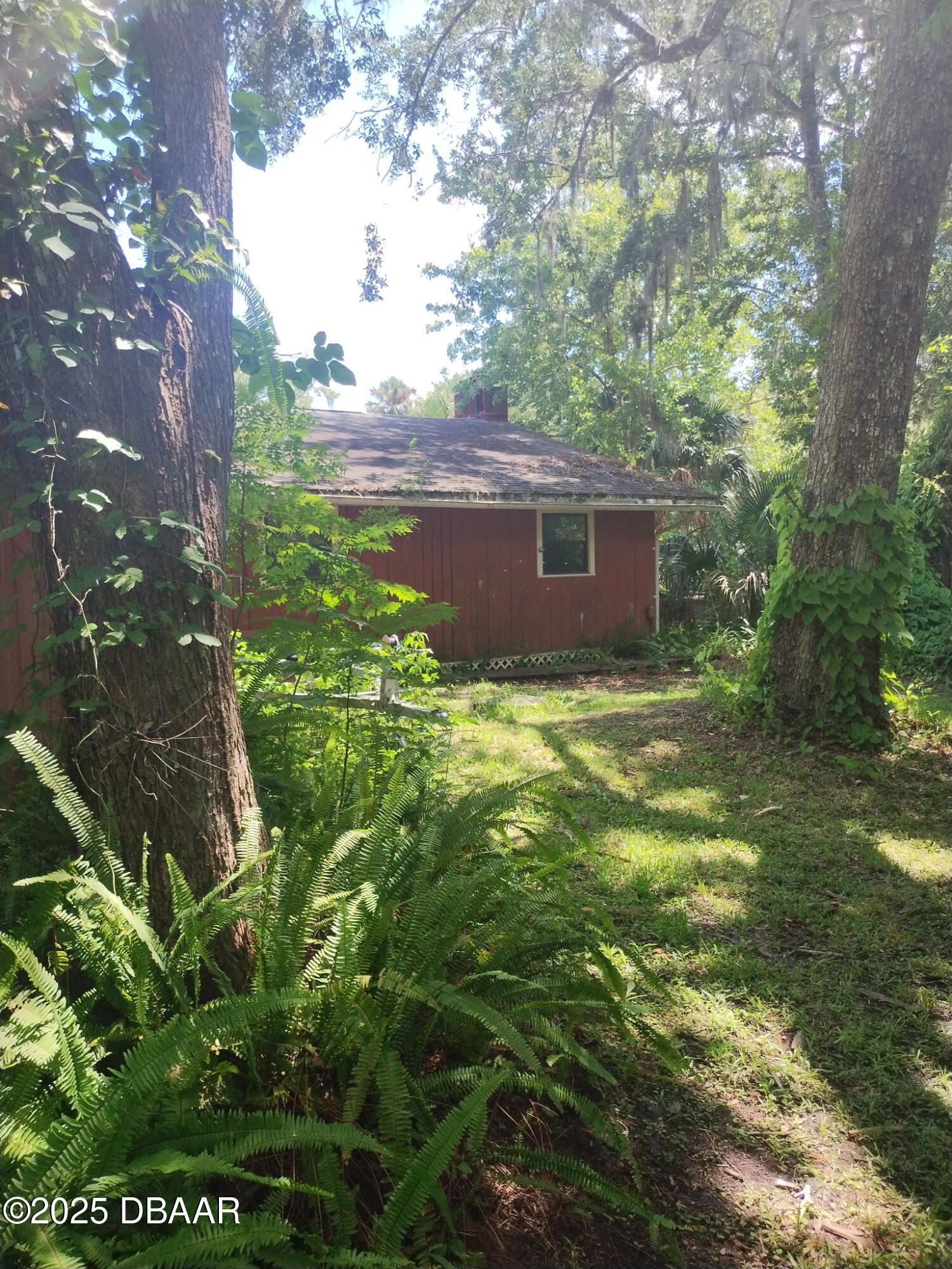 56337 Blue Creek Road Astor, FL 32102 - Photo 16 of 22 a view of yard with green space