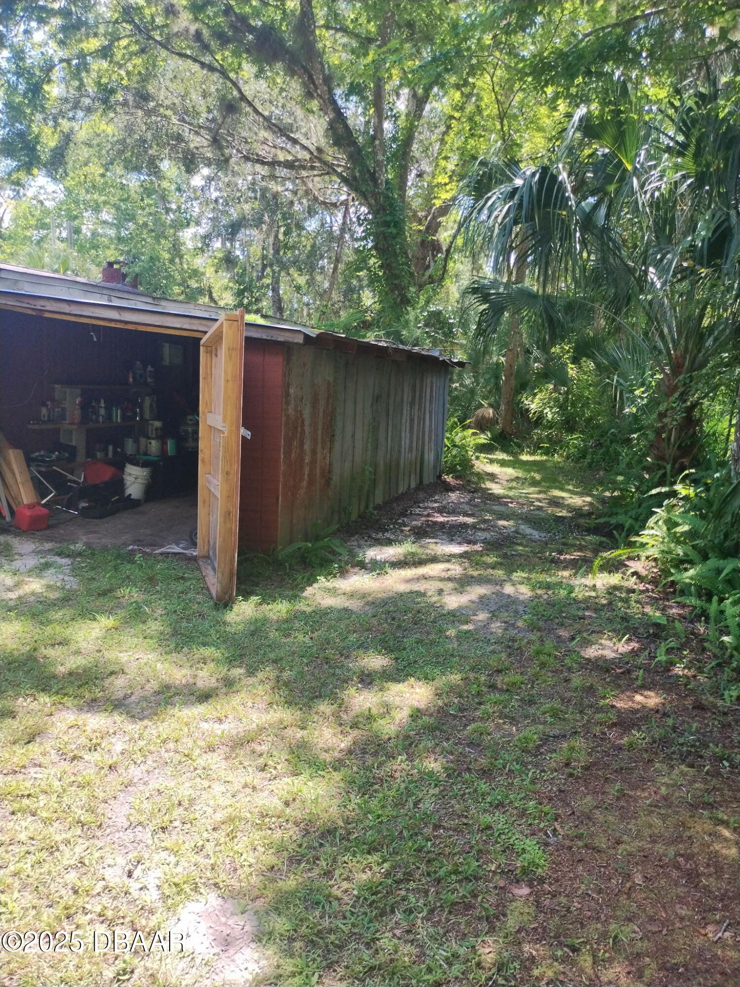 56337 Blue Creek Road Astor, FL 32102 - Photo 18 of 22 a view of a backyard