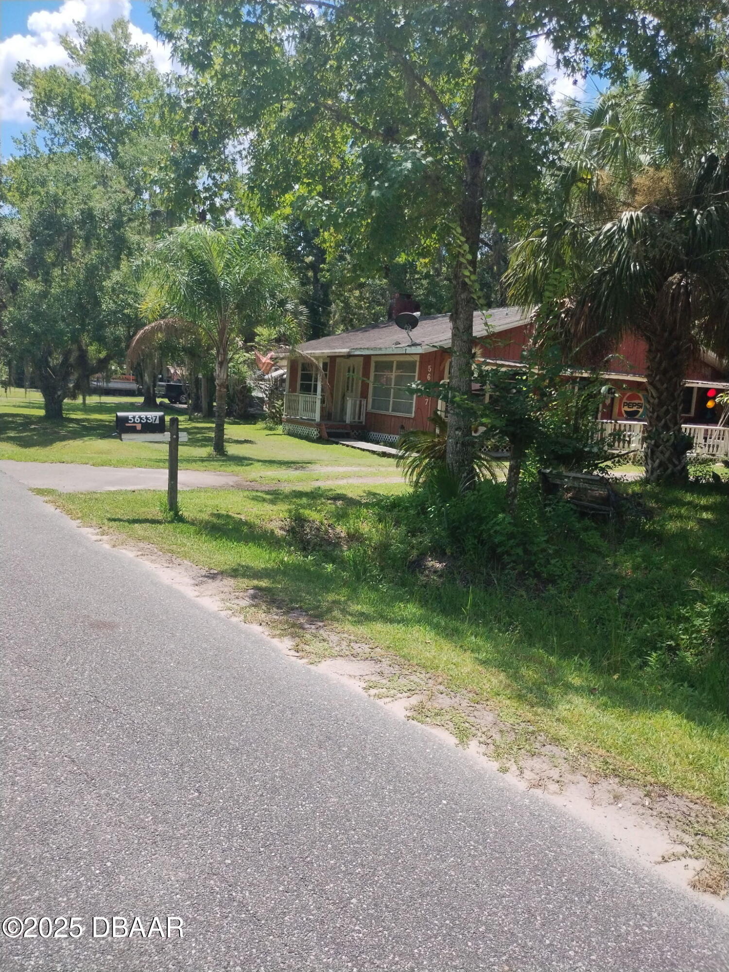 56337 Blue Creek Road Astor, FL 32102 - Photo 2 of 22 a view of a house with a big yard and large trees