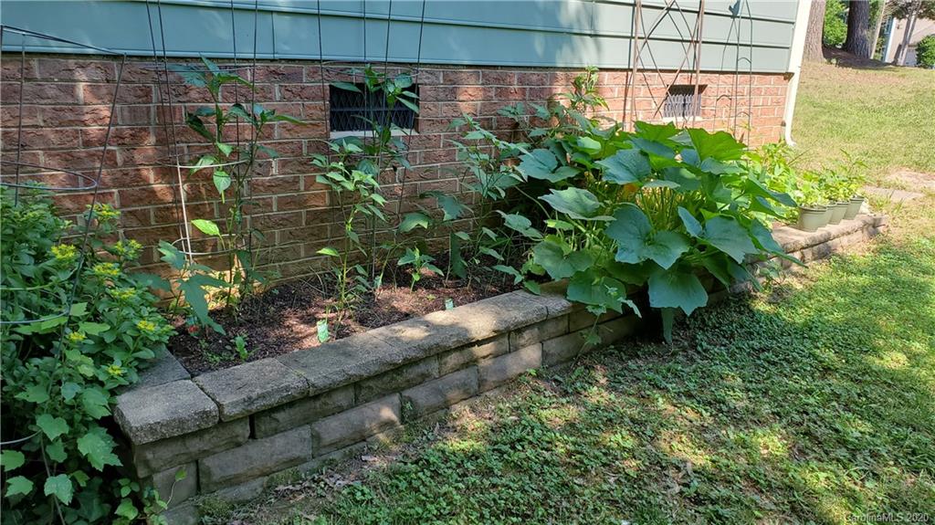 20700 Willow Pond Road Cornelius, NC 28031 - Photo 46 of 47 a backyard of a house with lots of green space