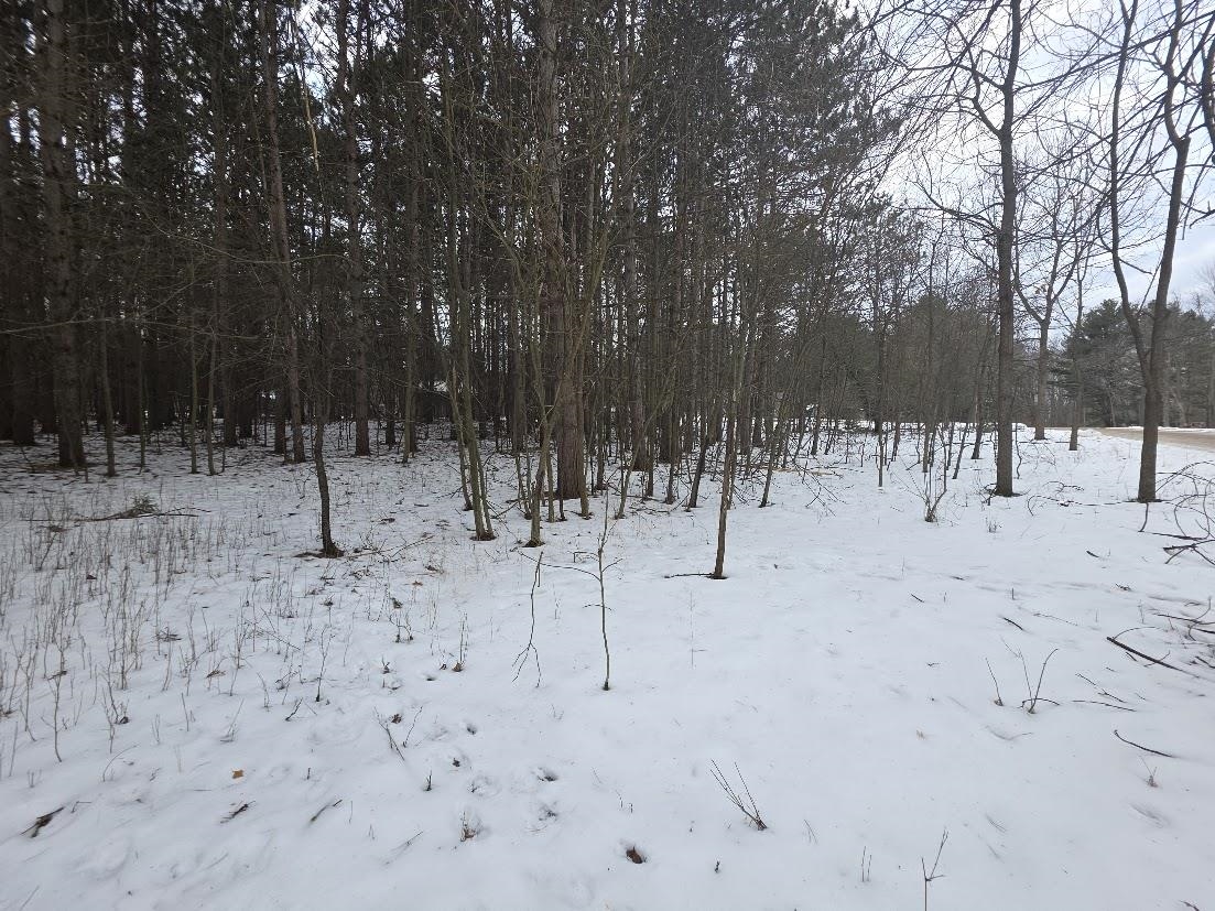 Alpine Drive, Unit 134 Wautoma, WI 54982 - Photo 3 of 7