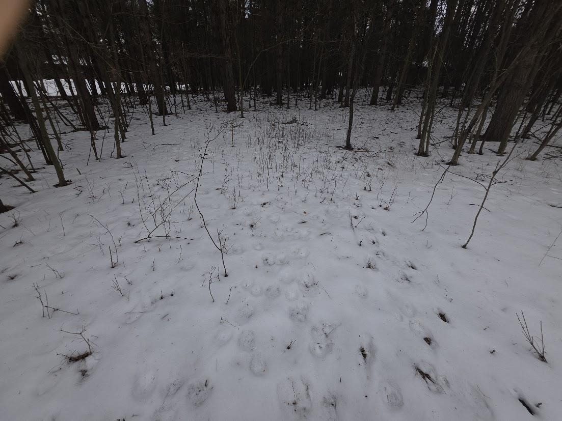 Alpine Drive, Unit 134 Wautoma, WI 54982 - Photo 4 of 7