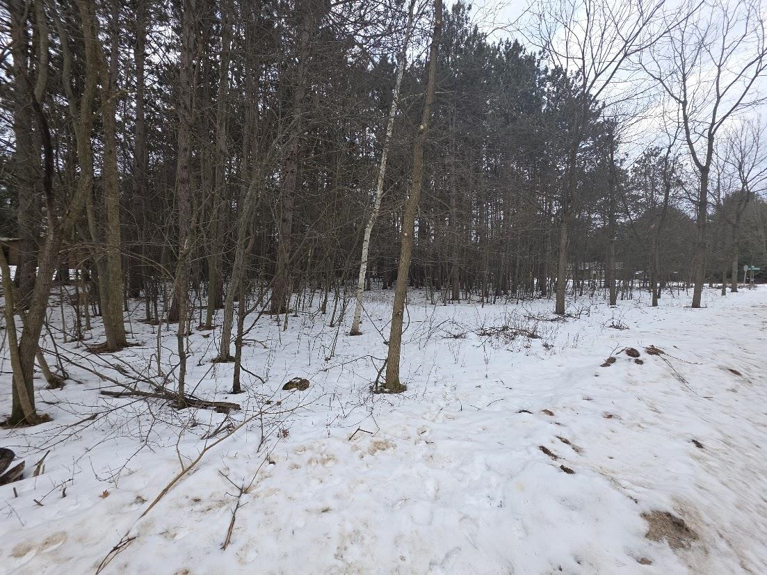 Alpine Drive, Unit 134 Wautoma, WI 54982 - Photo 6 of 7