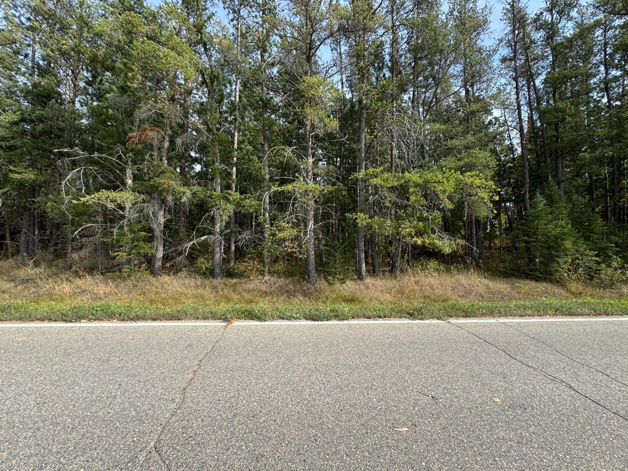 Tbd 243rd Avenue Shevlin, MN 56676 - Photo 5 of 7