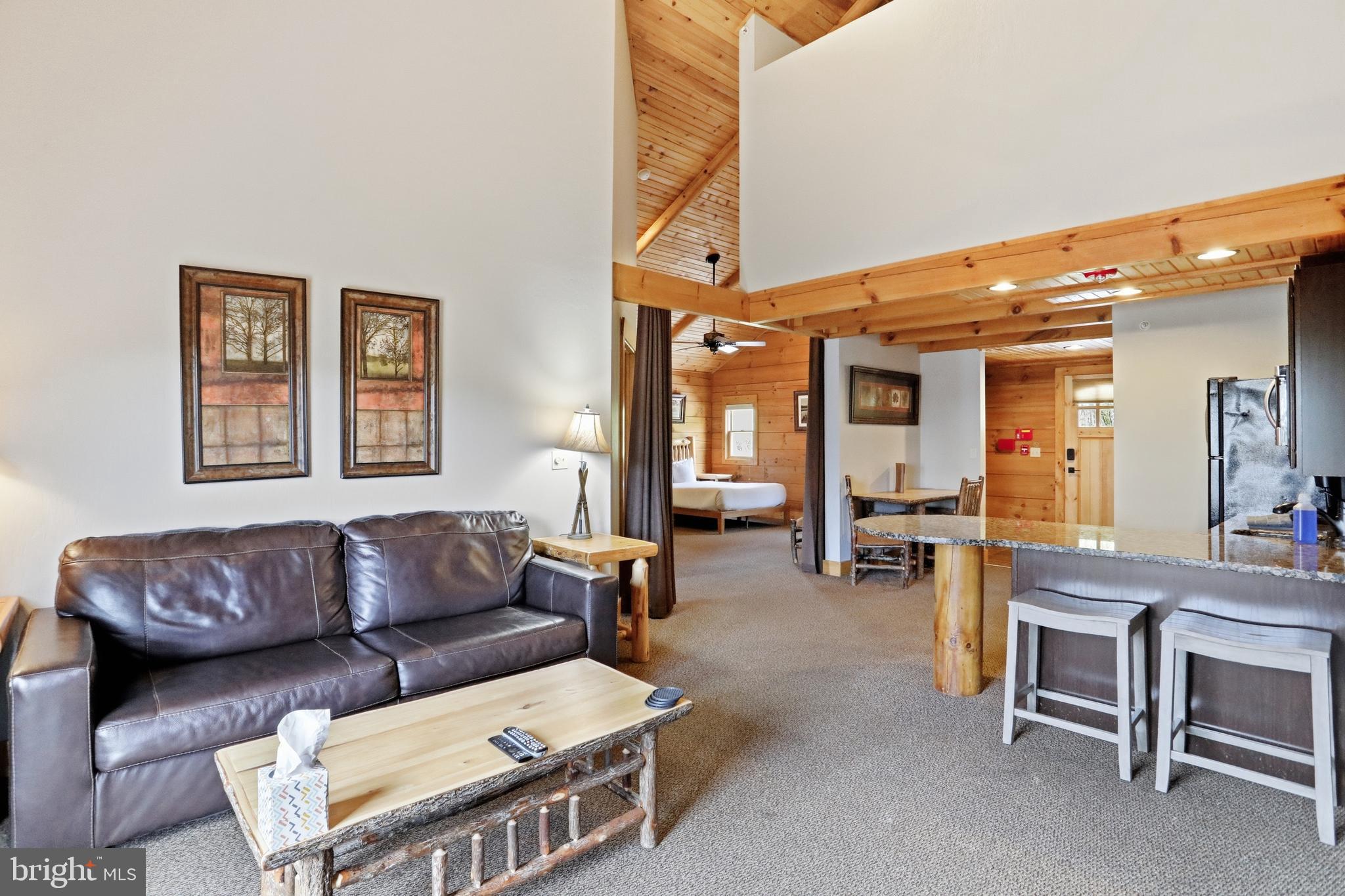 235 Cabin Lodge Road McHenry, MD 21541 - Photo 4 of 25