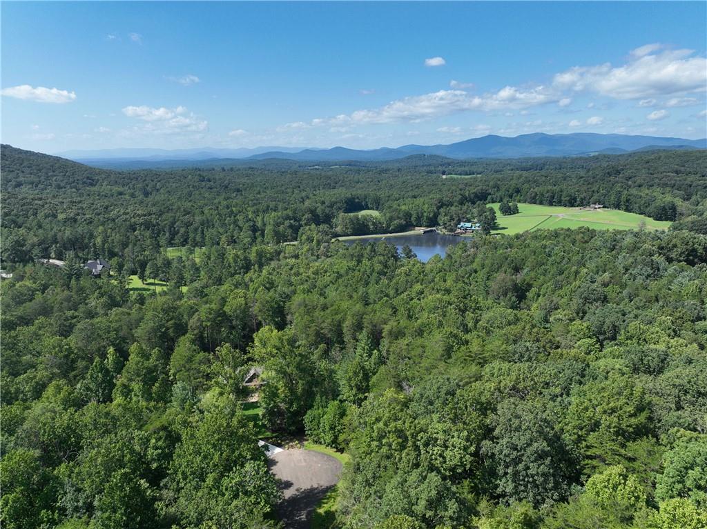 142 R Autumn Fern Lane Ellijay, GA 30536 - Photo 5 of 33 Gallery Image 5