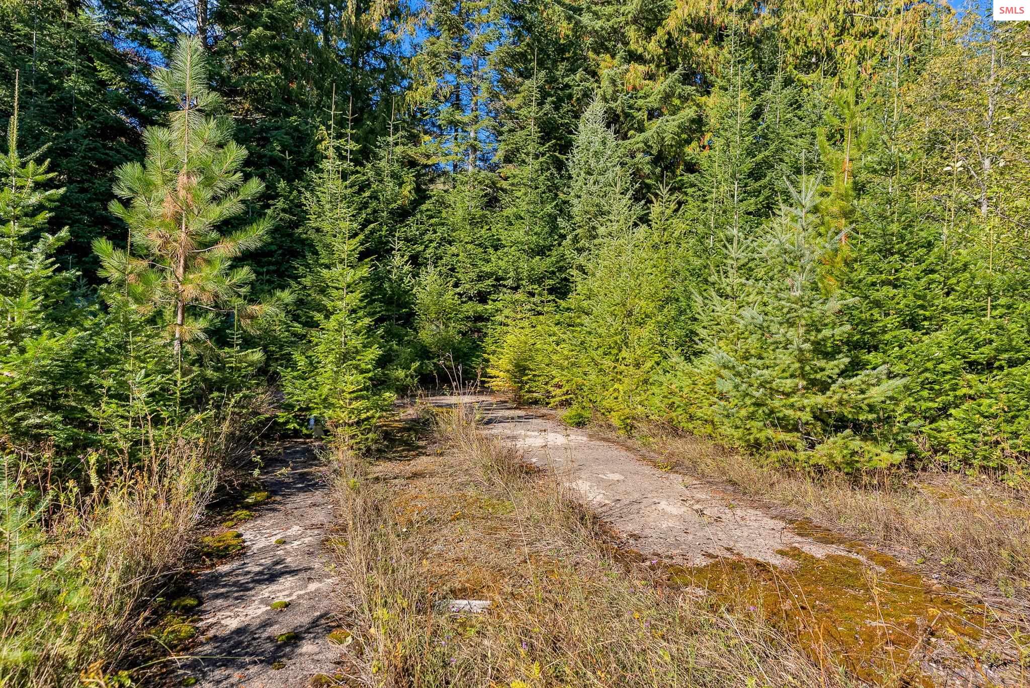 Nka Talache Road Sagle, ID 83860 - Photo 12 of 29