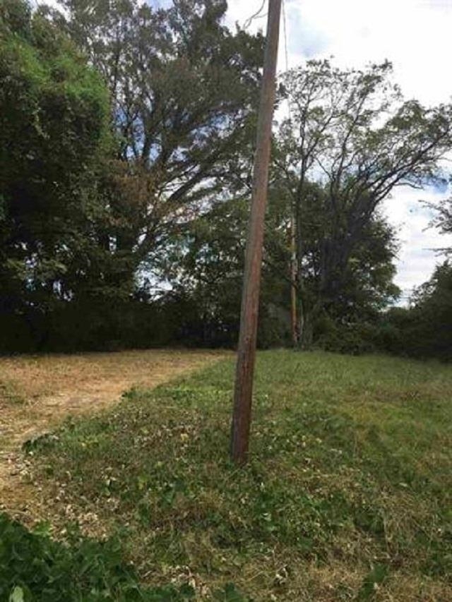 0 Niese Street Memphis, TN 38106 - Photo 4 of 4 a view of a yard with a tree