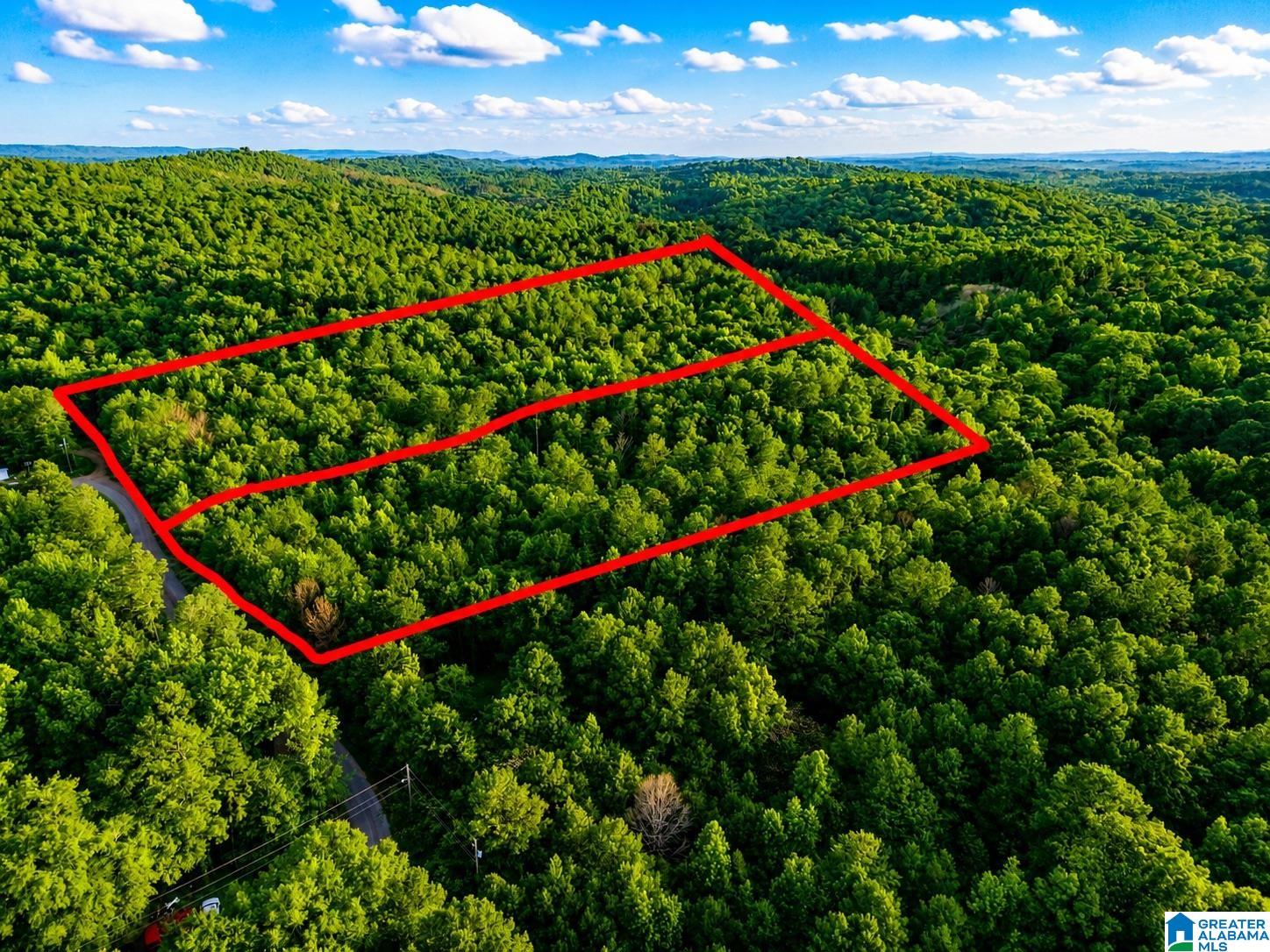Off Of Penny Lane, Unit 54 Odenville, AL 35120 - Photo 2 of 25