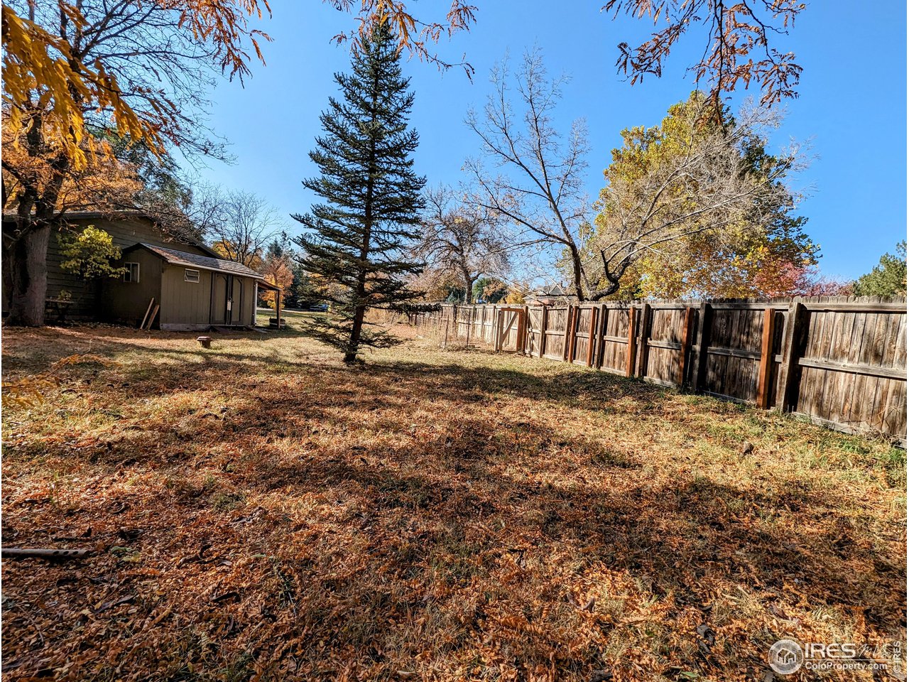1951 Vista Drive Boulder, CO 80304 - Photo 18 of 35 a backyard of a house with large trees