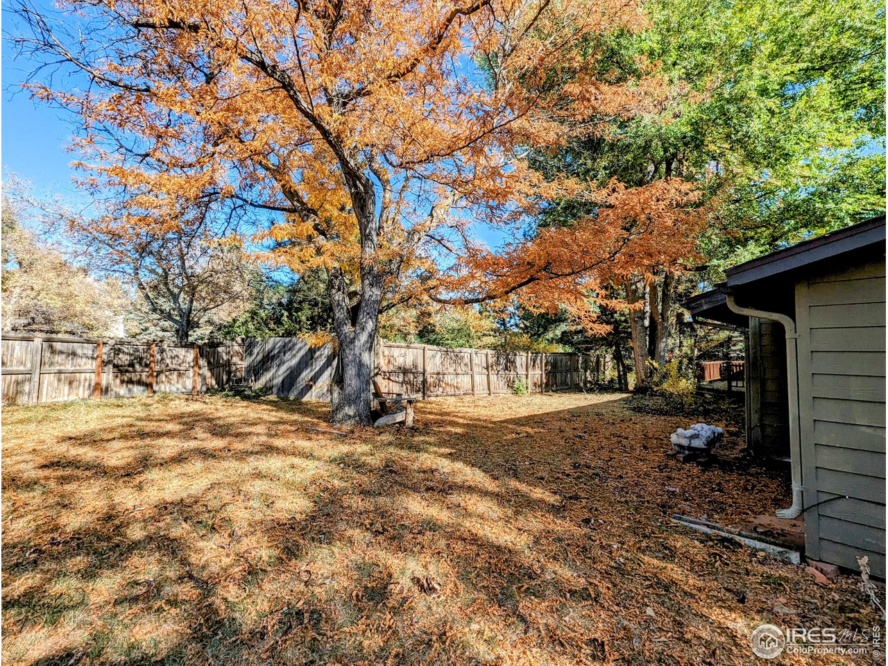 1951 Vista Drive Boulder, CO 80304 - Photo 28 of 35 a view of a yard with plants and trees