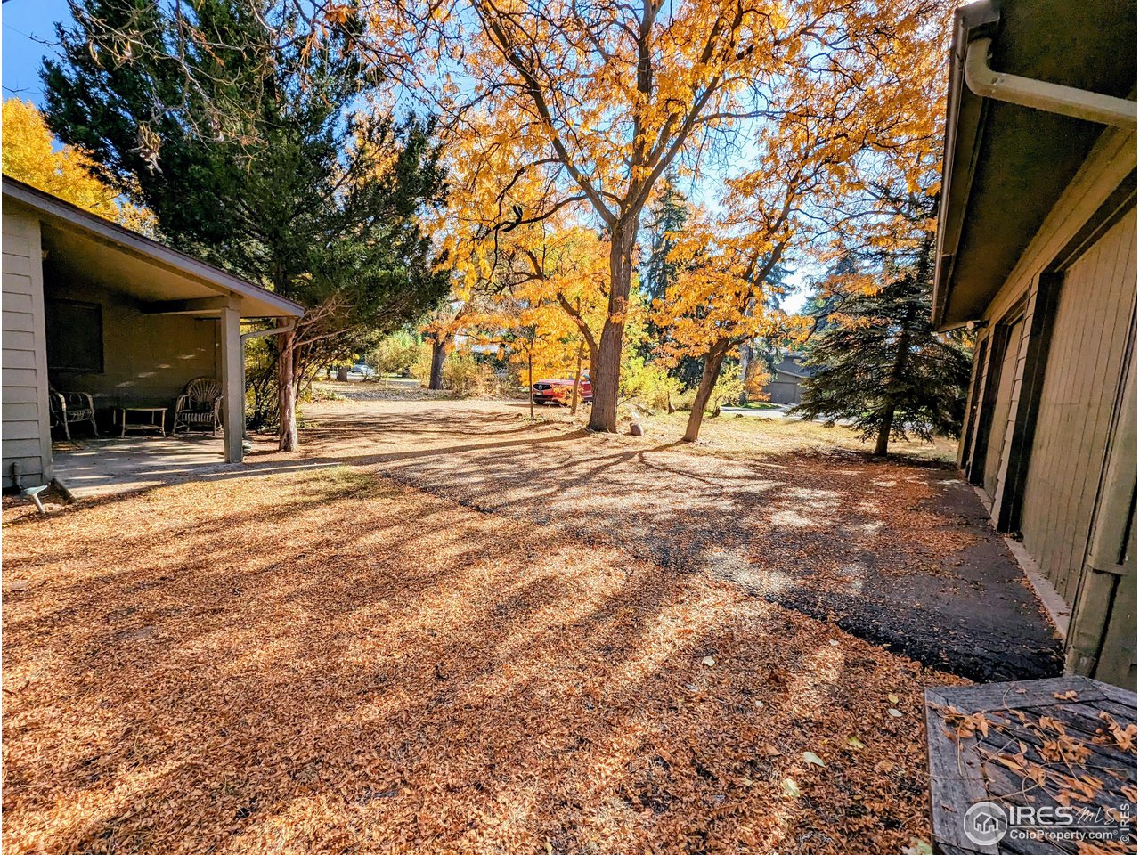 1951 Vista Drive Boulder, CO 80304 - Photo 29 of 35 a view of a backyard with a tree