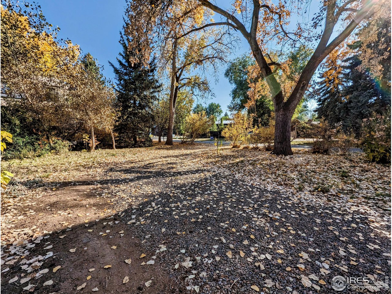 1951 Vista Drive Boulder, CO 80304 - Photo 30 of 35 a view of dirt yard with a large tree