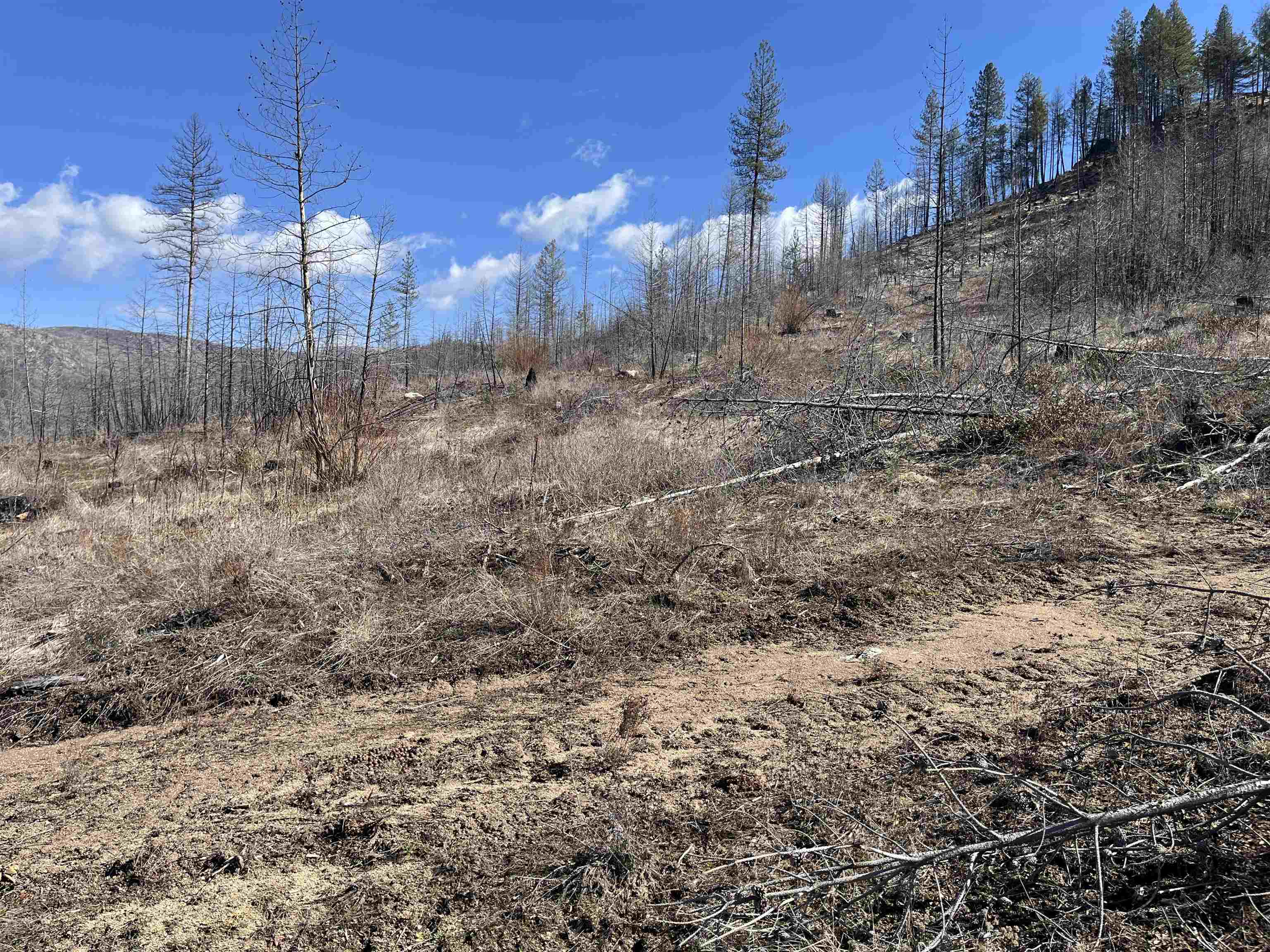 Lot 1 Rail Canyon Road Tumtum, WA 99034 - Photo 3 of 5 Gallery Image 3