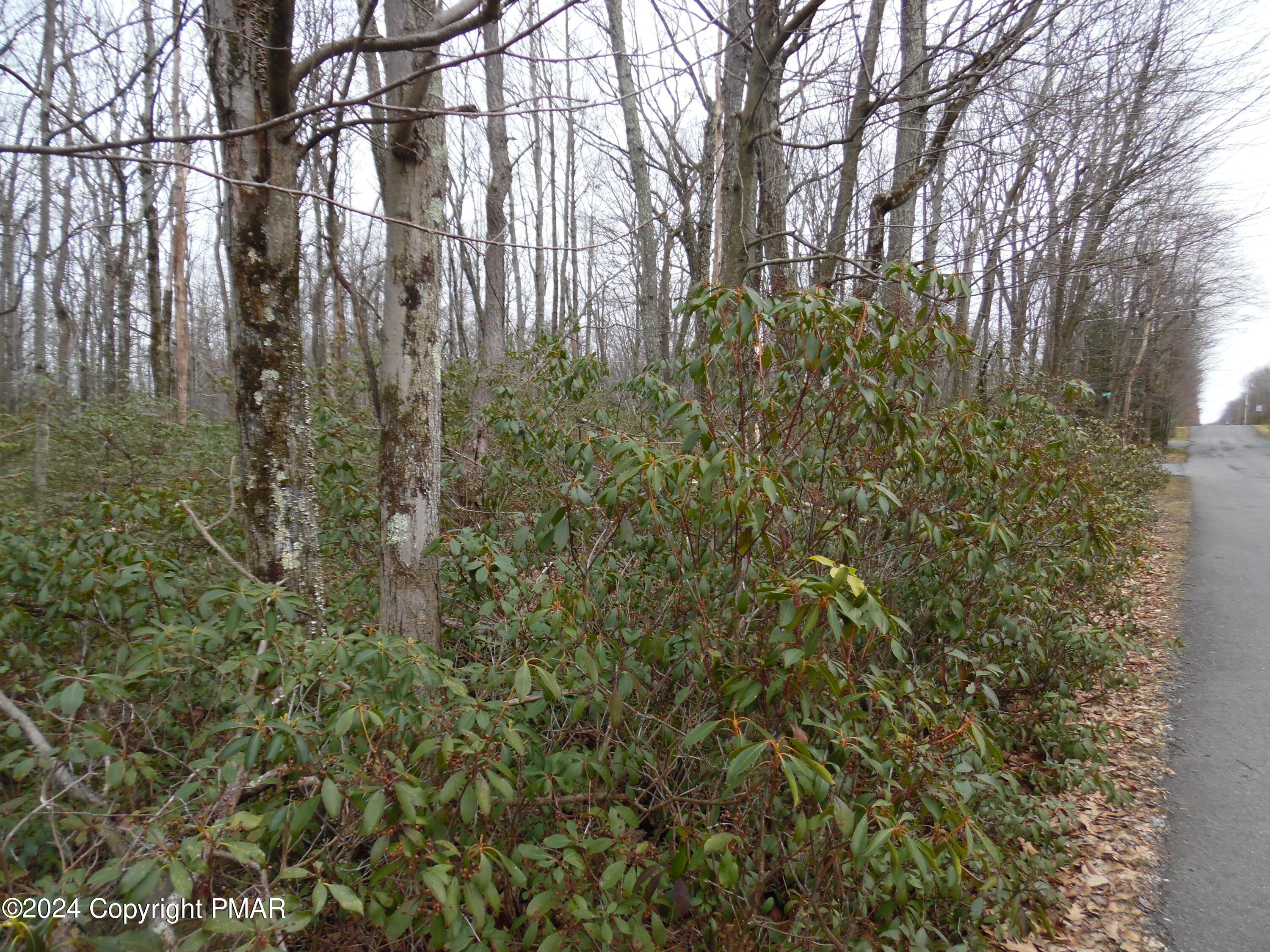Lot E Cocopah Circle/saginaw Drive Jim Thorpe, PA 18229 - Photo 12 of 19 a view of a yard with plants and large trees