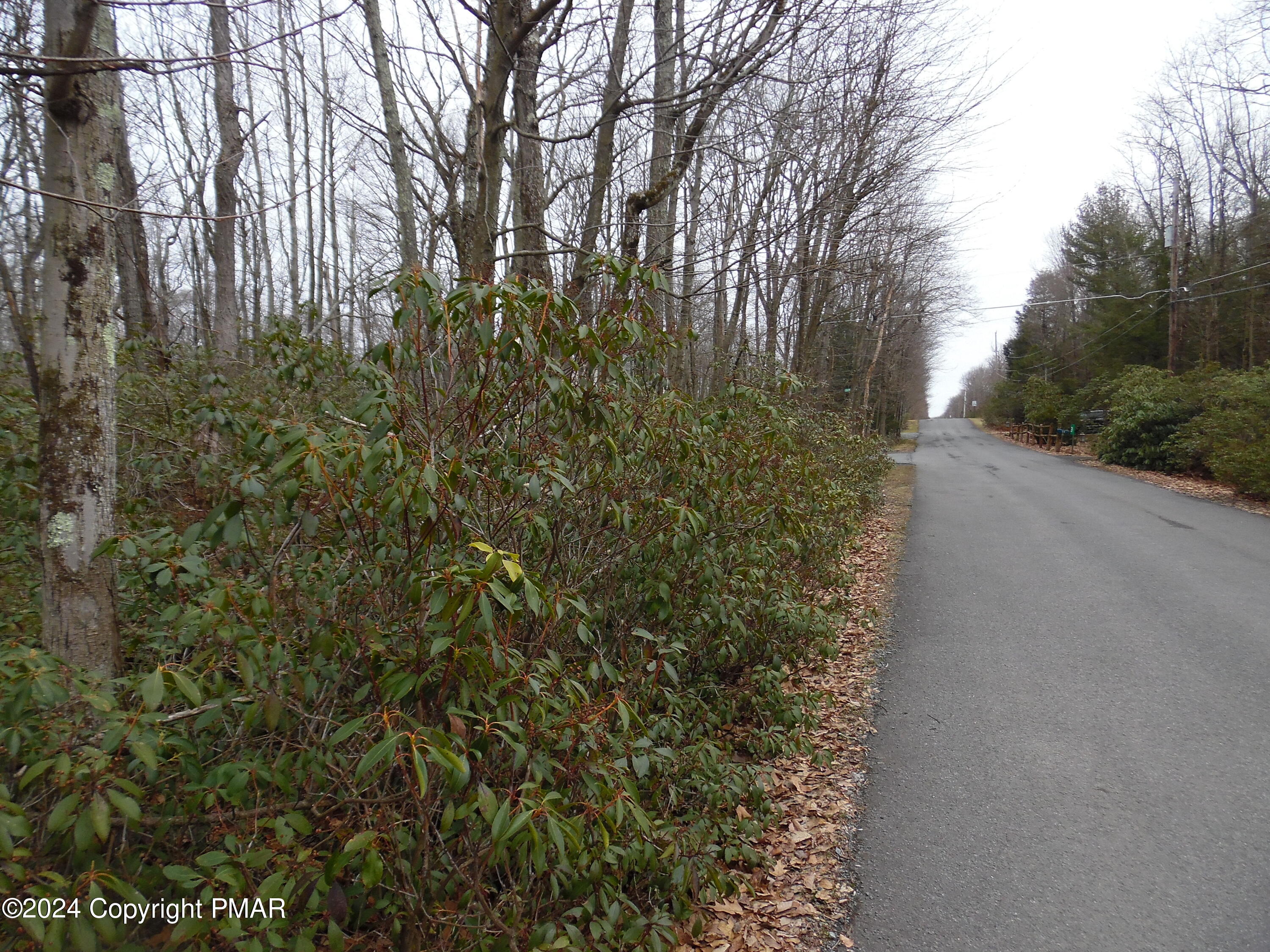 Lot E Cocopah Circle/saginaw Drive Jim Thorpe, PA 18229 - Photo 13 of 19 a view of a yard with plants and trees