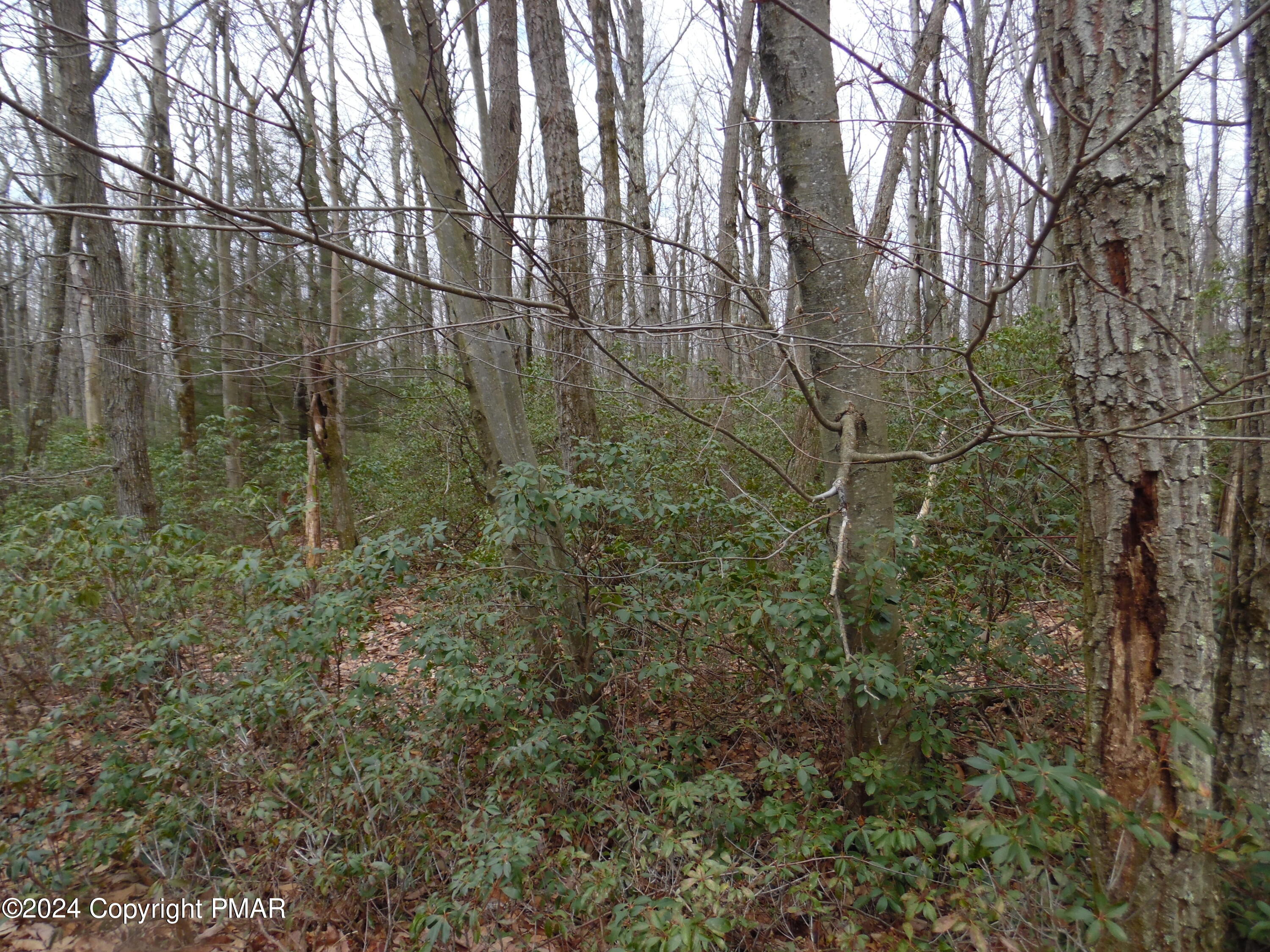 Lot E Cocopah Circle/saginaw Drive Jim Thorpe, PA 18229 - Photo 15 of 19 a backyard of a house with lots of plants and large trees