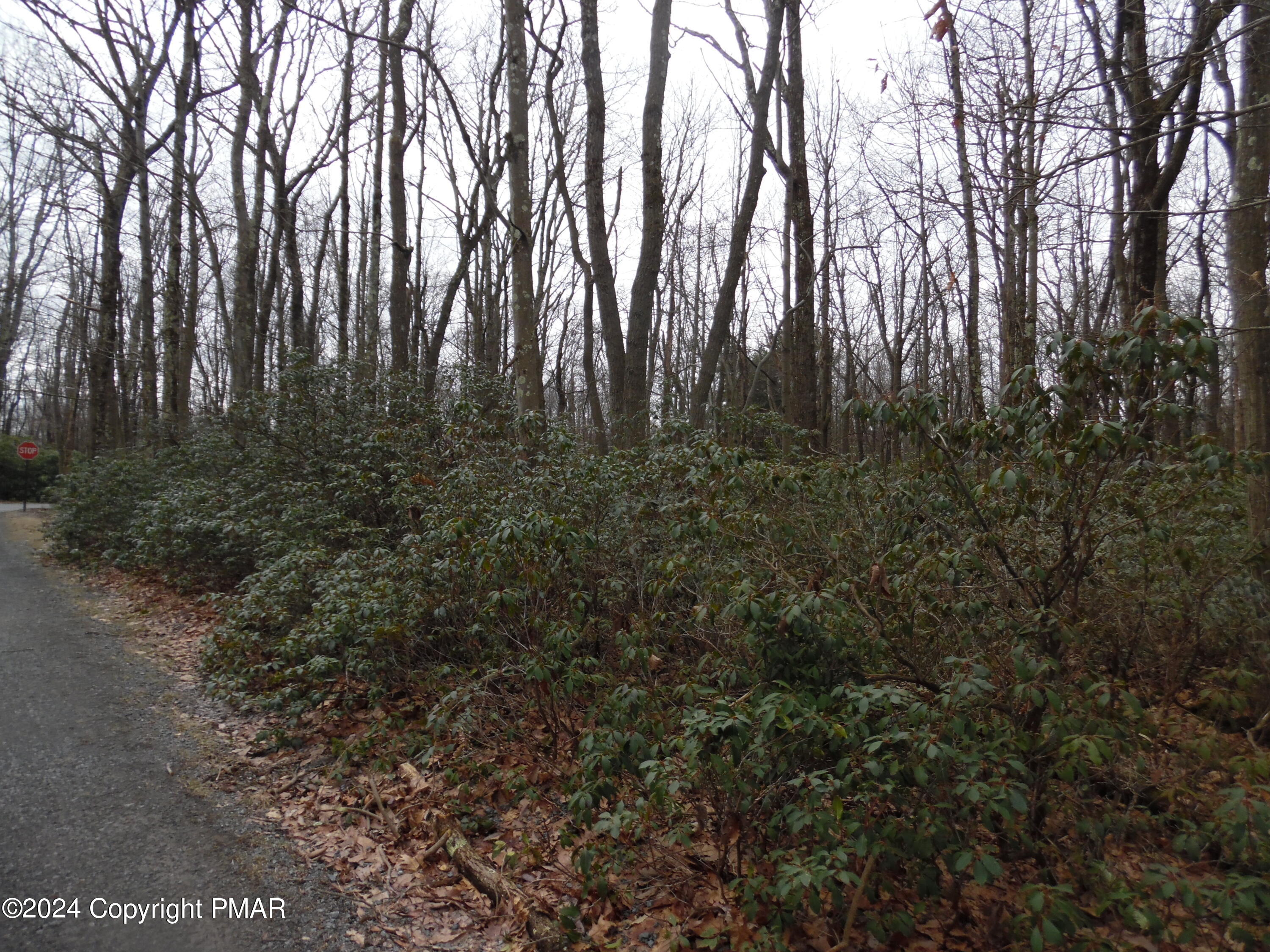 Lot E Cocopah Circle/saginaw Drive Jim Thorpe, PA 18229 - Photo 4 of 19 a view of forest
