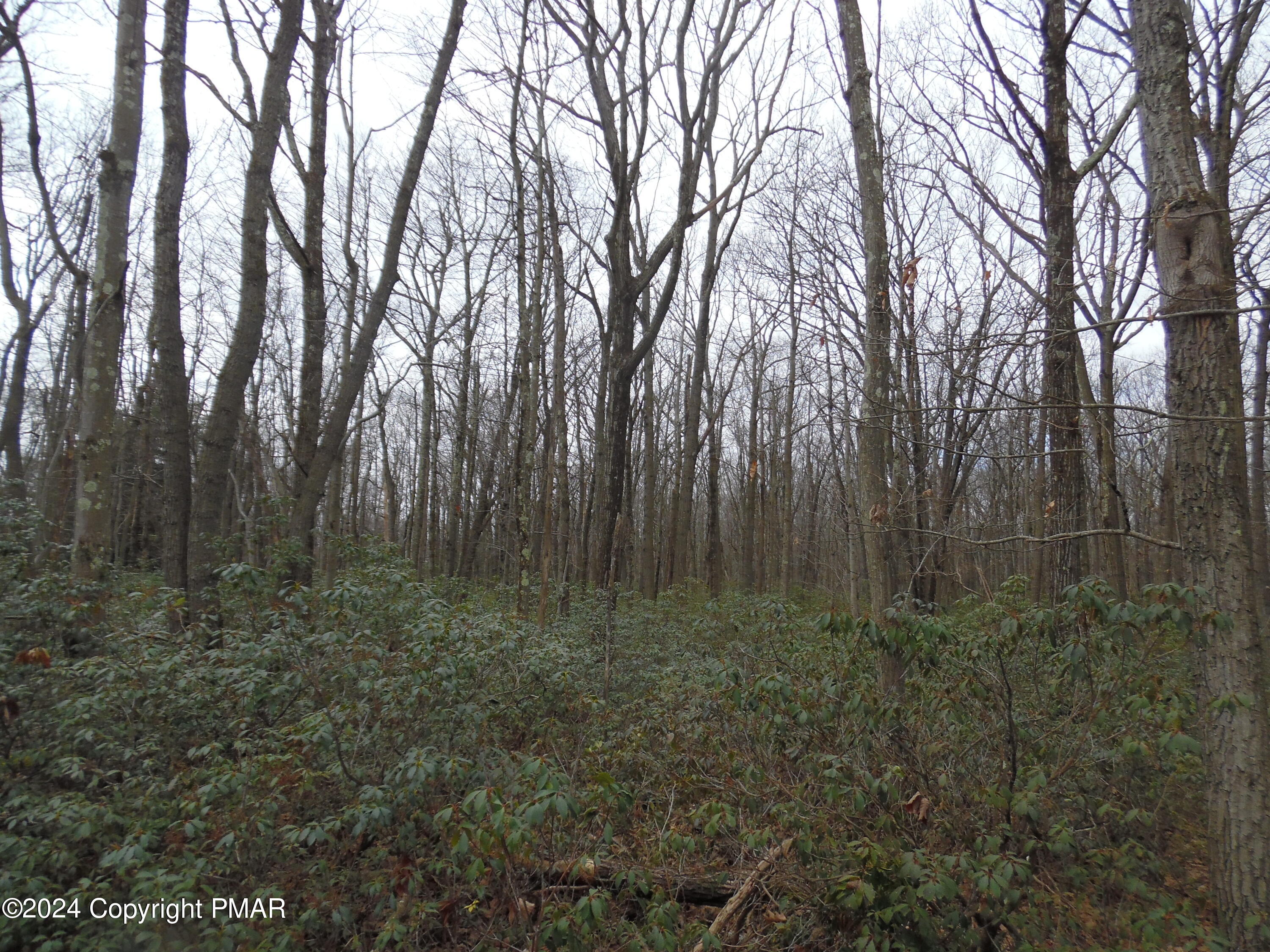 Lot E Cocopah Circle/saginaw Drive Jim Thorpe, PA 18229 - Photo 5 of 19 a view of outdoor space and yard