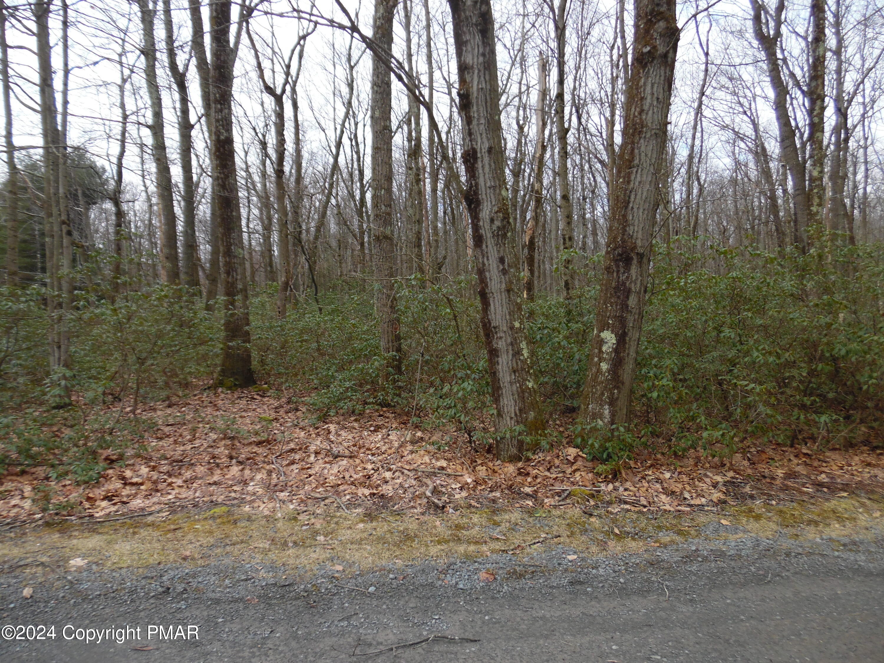 Lot E Cocopah Circle/saginaw Drive Jim Thorpe, PA 18229 - Photo 7 of 19 a view of a forest with trees in the background