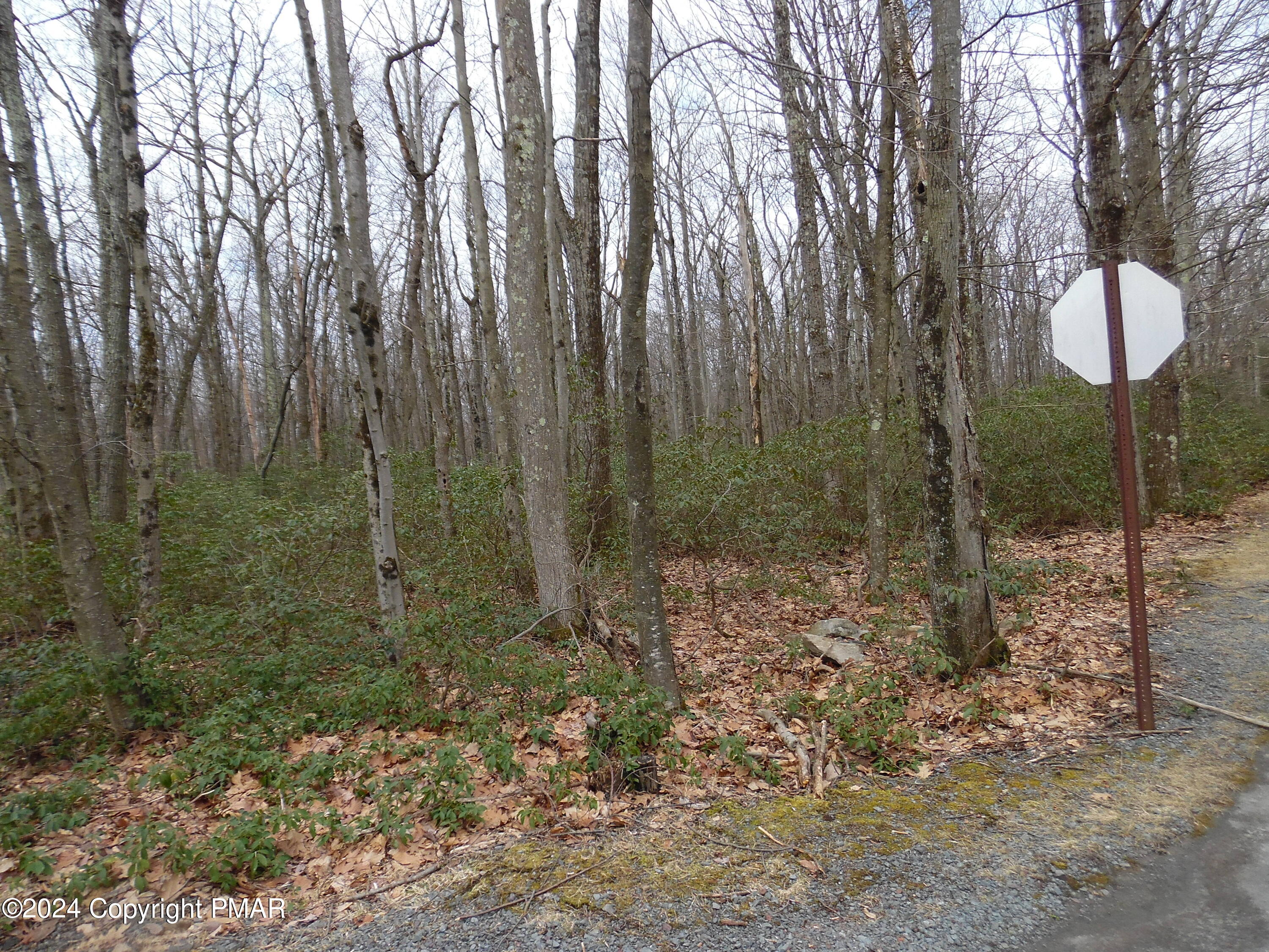 Lot E Cocopah Circle/saginaw Drive Jim Thorpe, PA 18229 - Photo 8 of 19 a backyard of a house with lots of green space