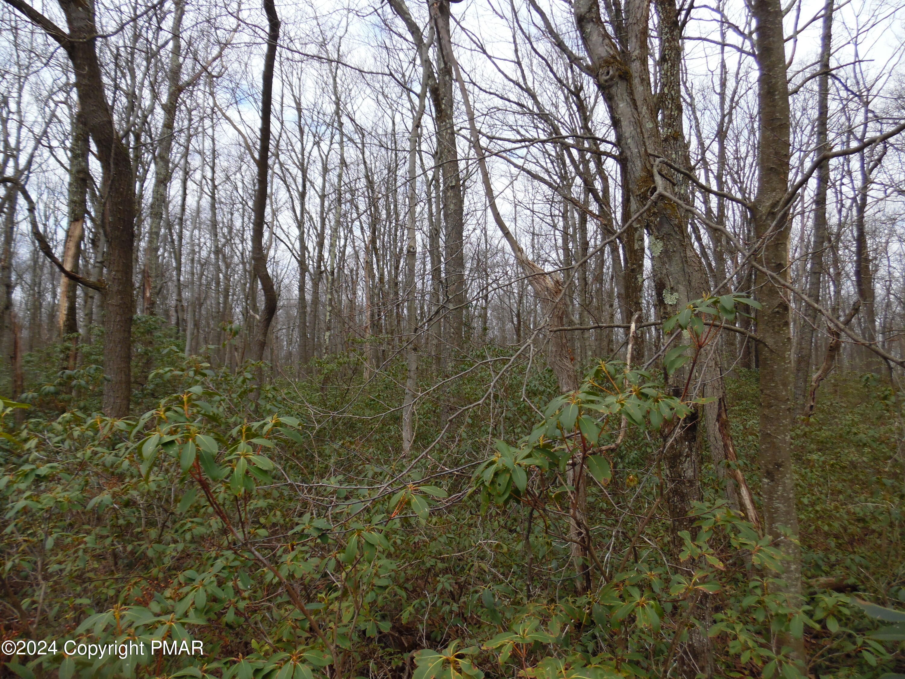 Lot E Cocopah Circle/saginaw Drive Jim Thorpe, PA 18229 - Photo 10 of 19 a view of a yard with a tree