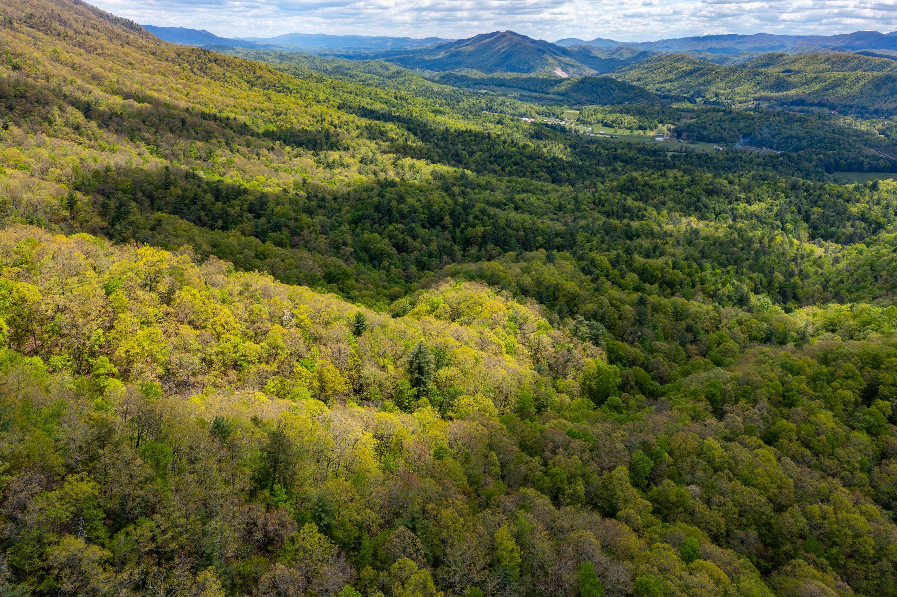 38 Bear Rdg Drive, Unit LOT 38 Butler, TN 37640 - Photo 4 of 10 14464316-4AE7-4A00-847E-48B164D87D9C