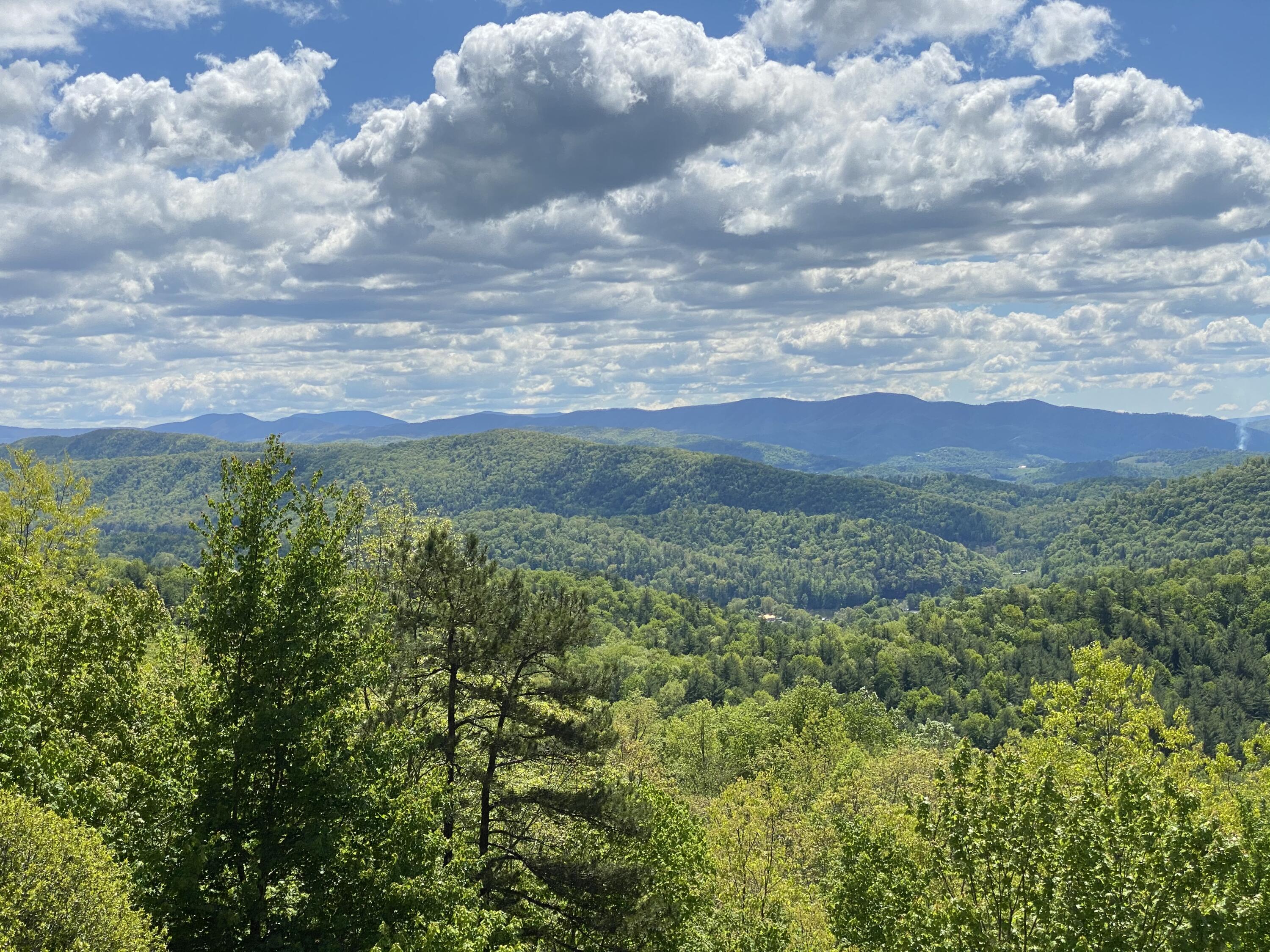 38 Bear Rdg Drive, Unit LOT 38 Butler, TN 37640 - Photo 10 of 10 5C04B8E8-8463-4208-9123-DAF26D2603E9